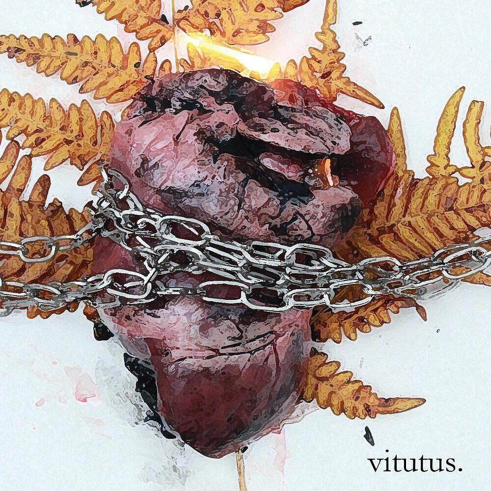 Vitutus