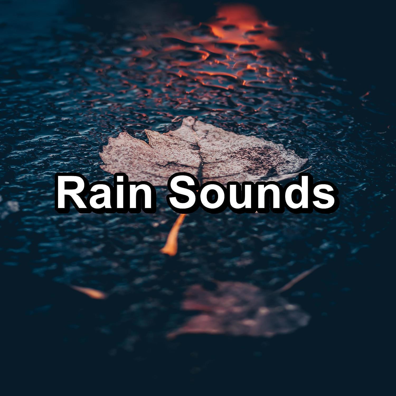 Релиз Rain Sounds
