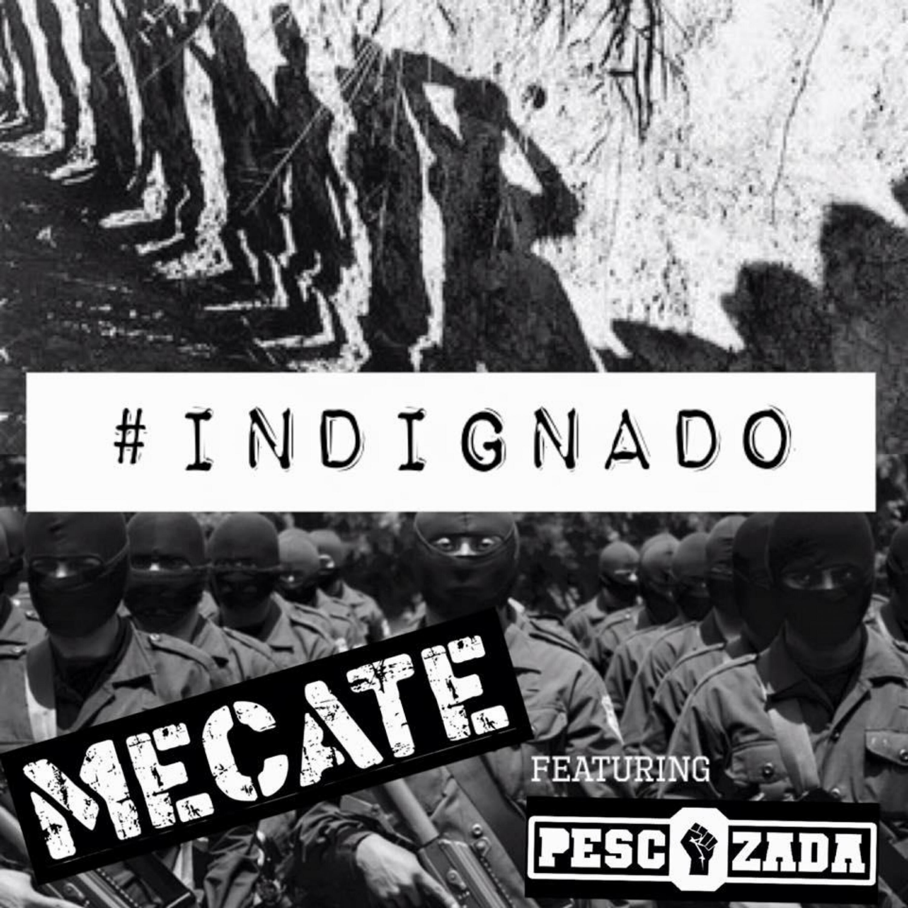 Релиз Indignado