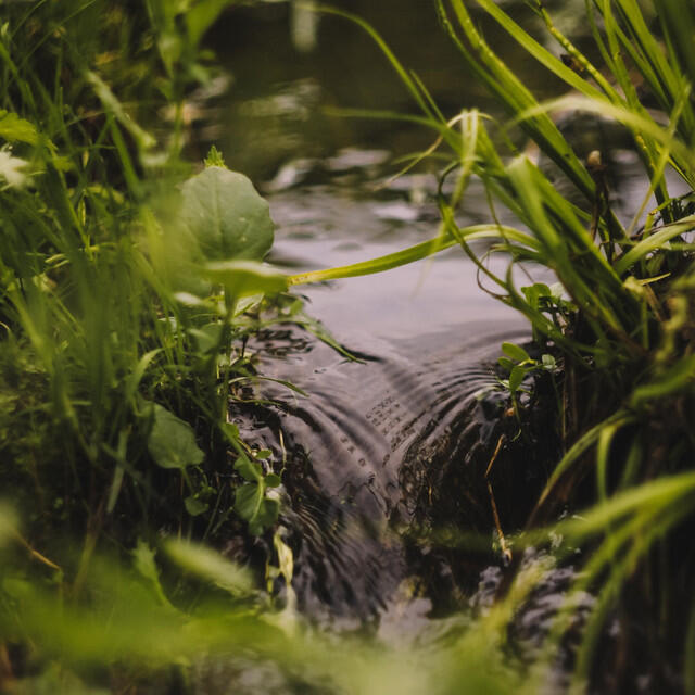 Релиз Flow with the River