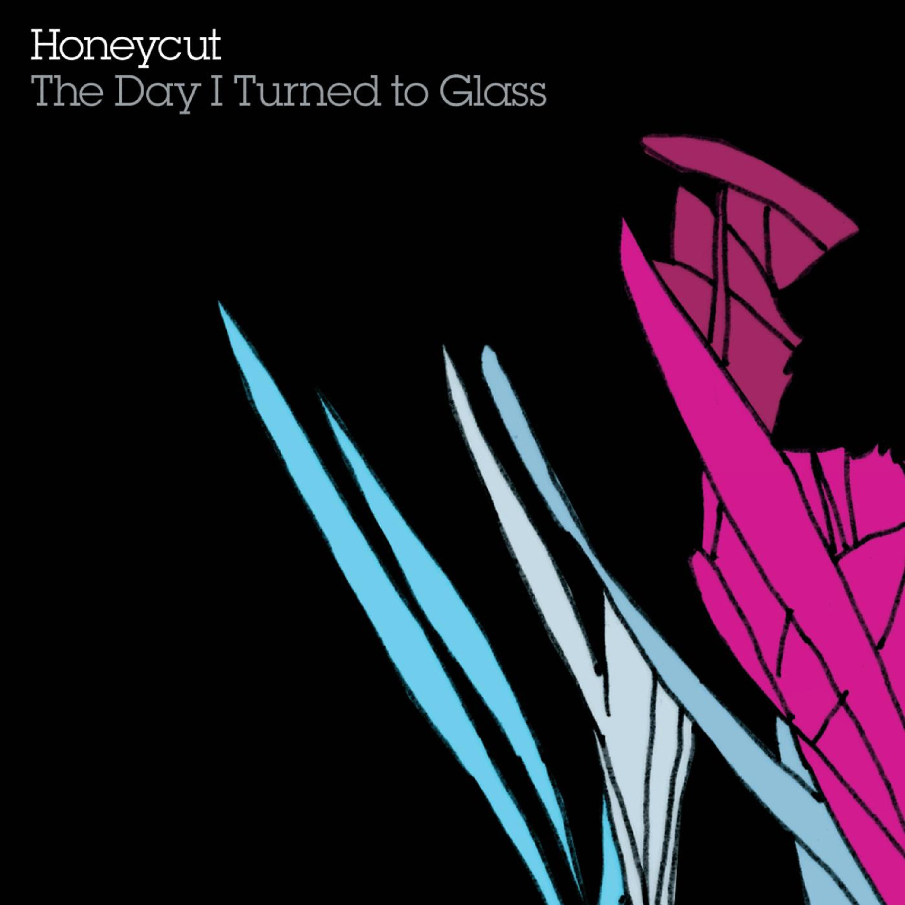Постер альбома The Day I Turned To Glass