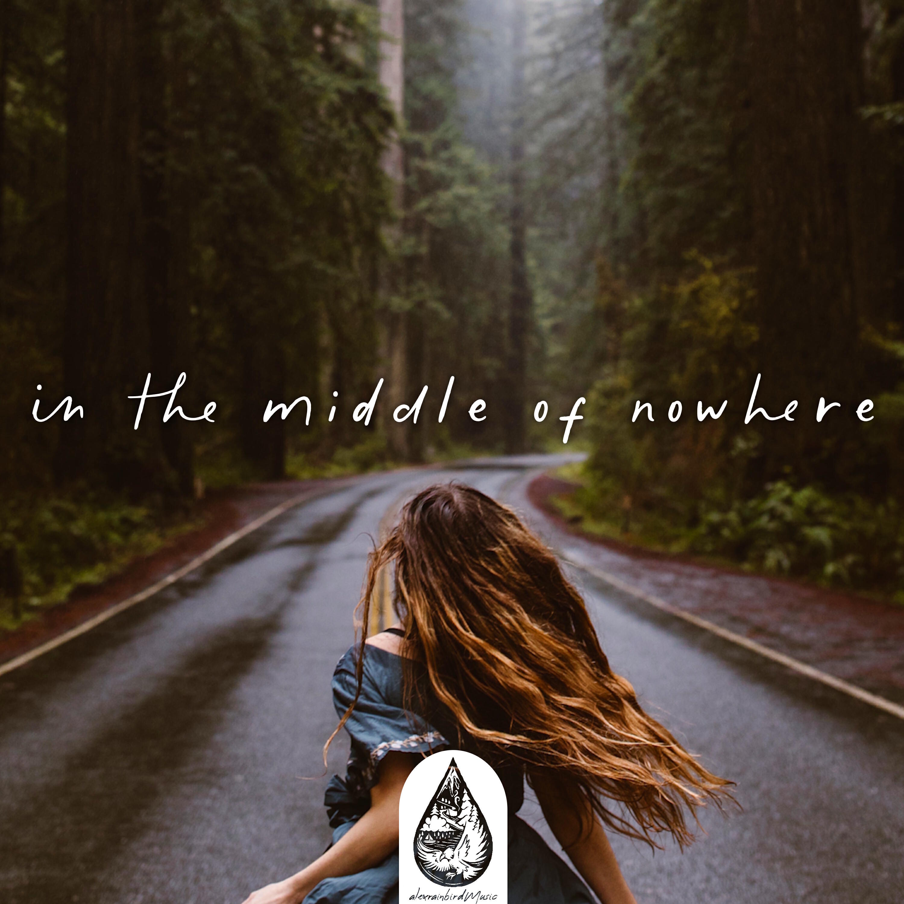 Релиз In the Middle of Nowhere (alexrainbirdMusic)