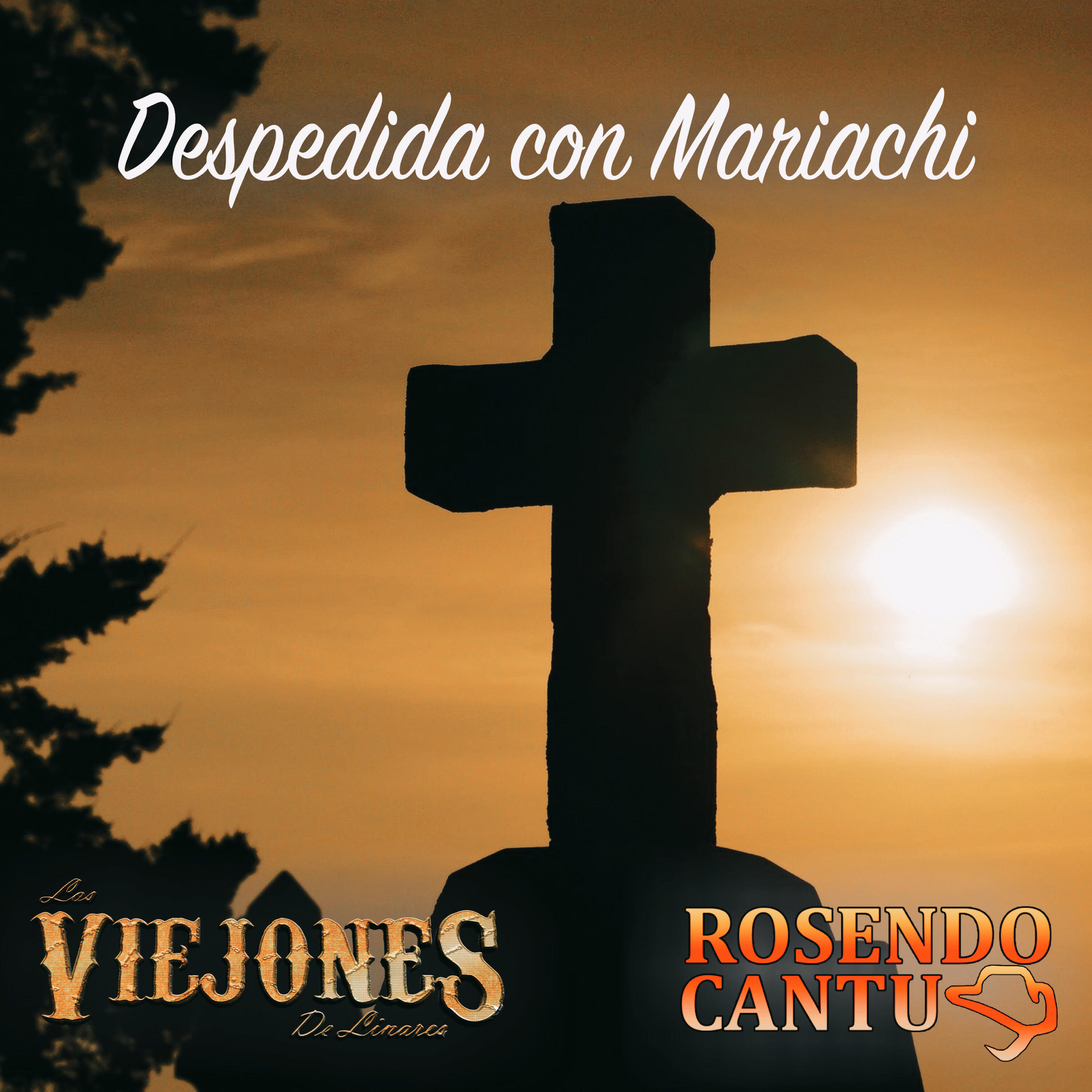 Rosendo Cantú
