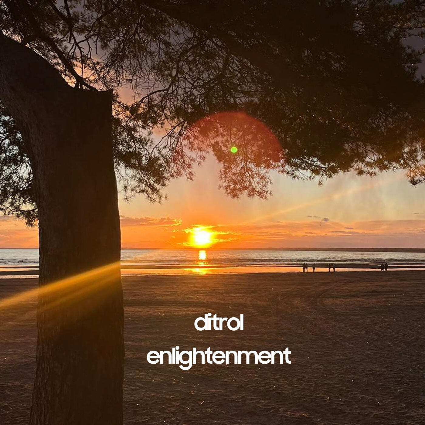 Ditrol