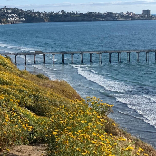 Релиз California Waves