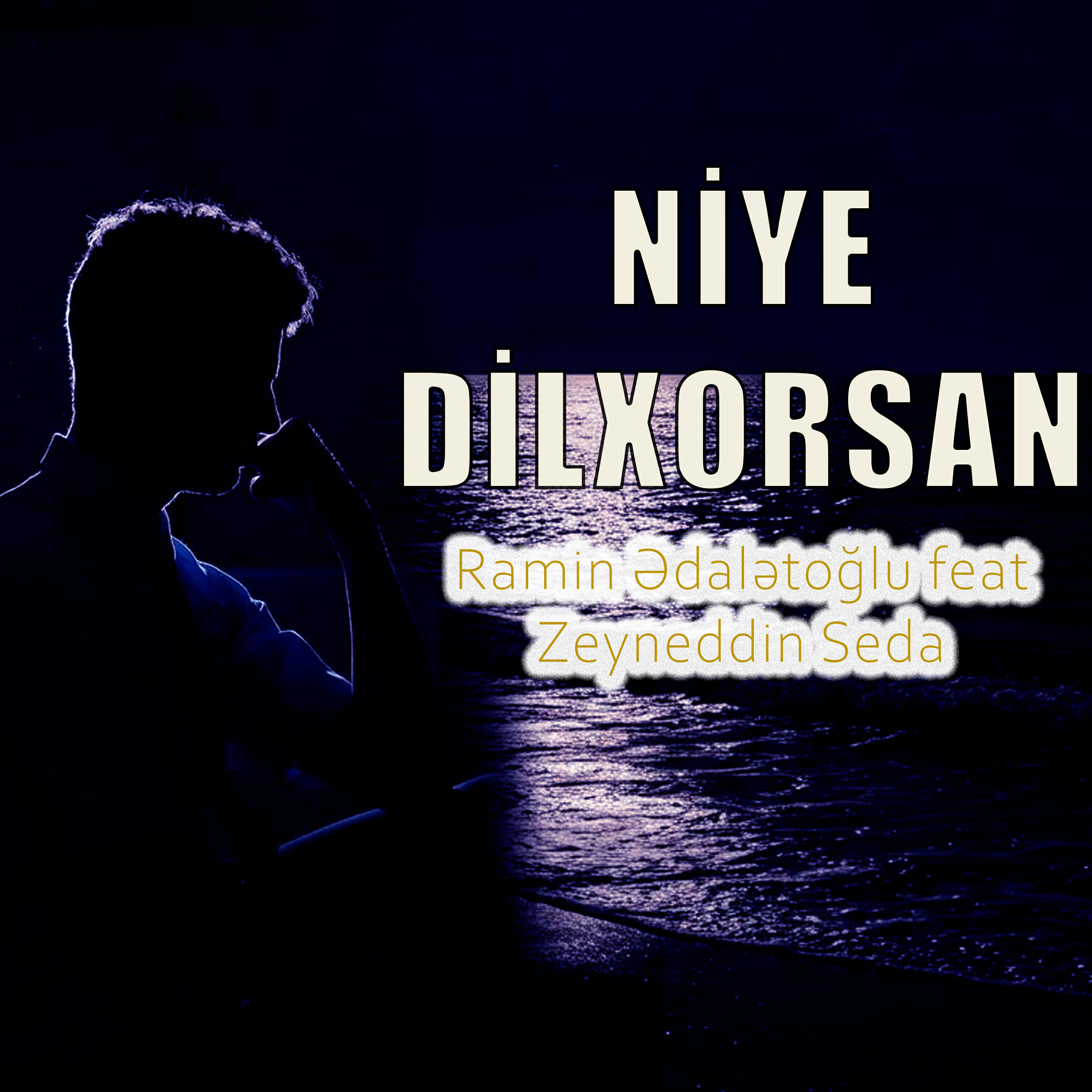 Релиз Niye Dilxorsan