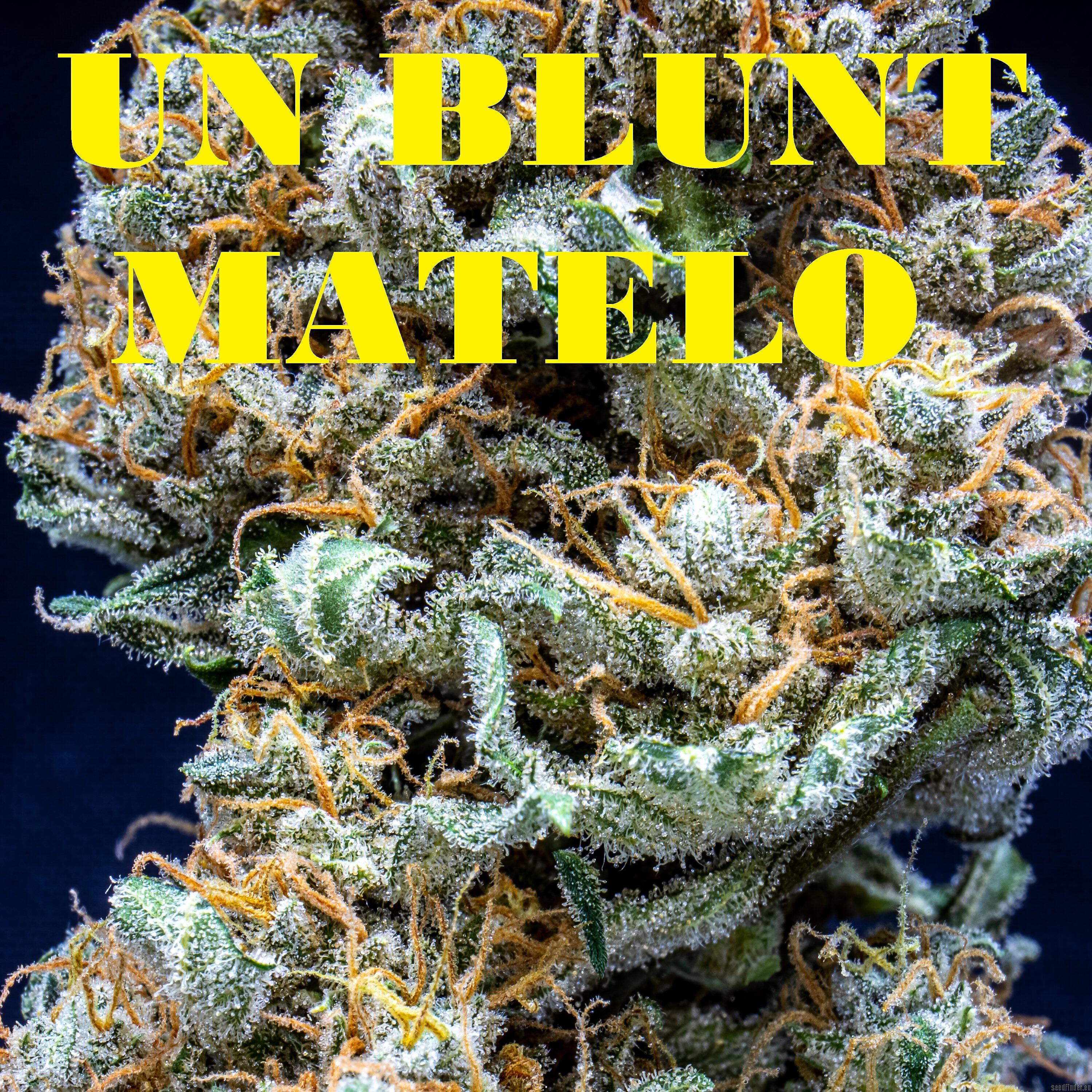 Релиз Un Blunt