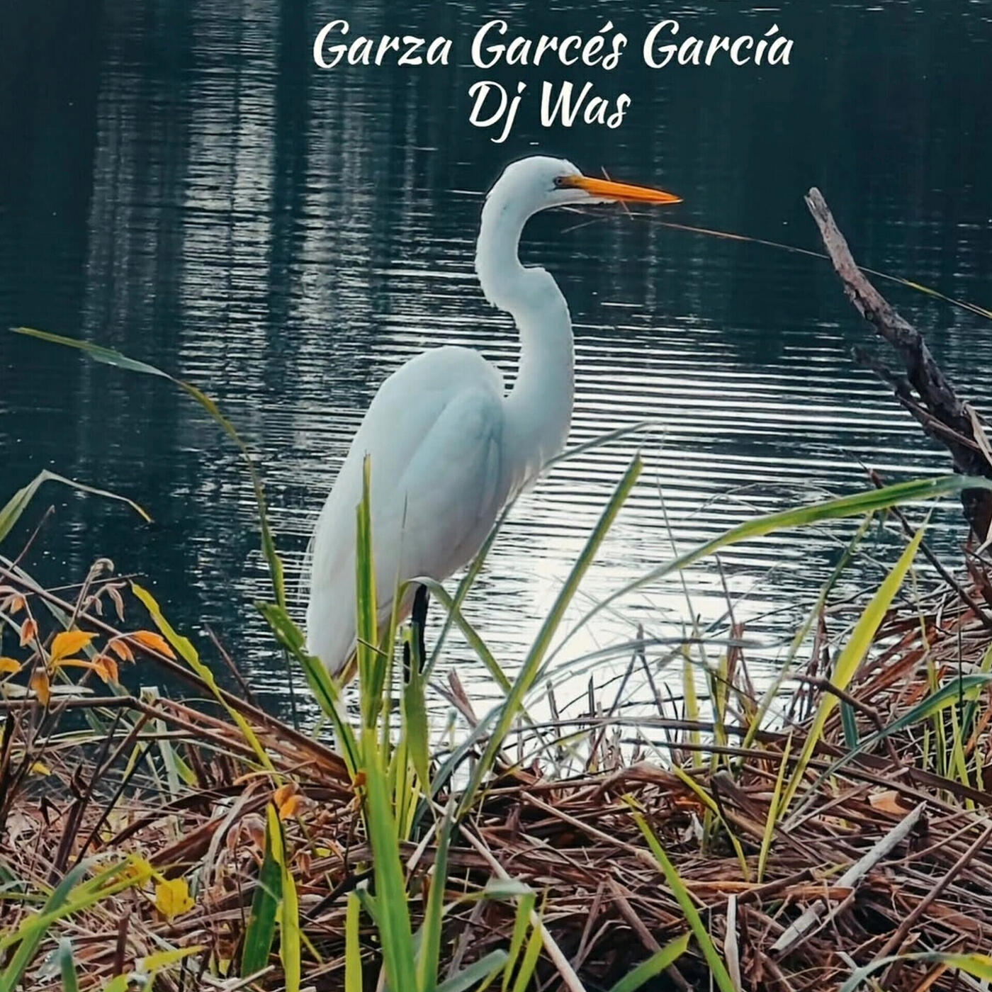 Релиз Garza Garcés Garcia