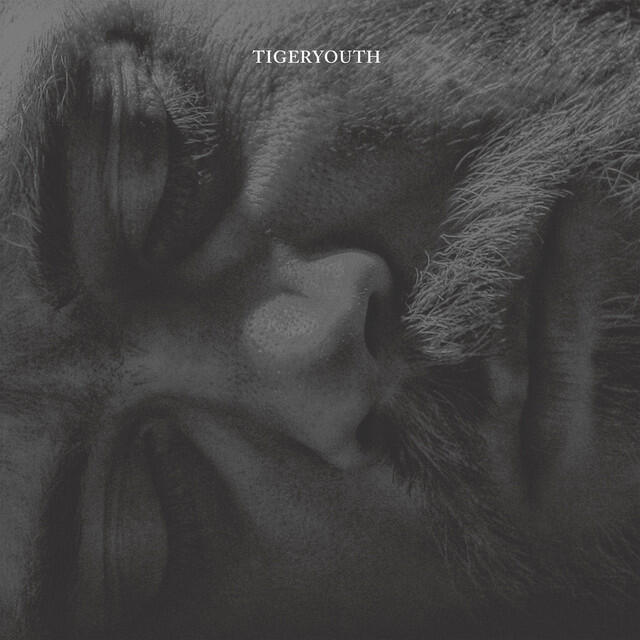 Релиз Tigeryouth