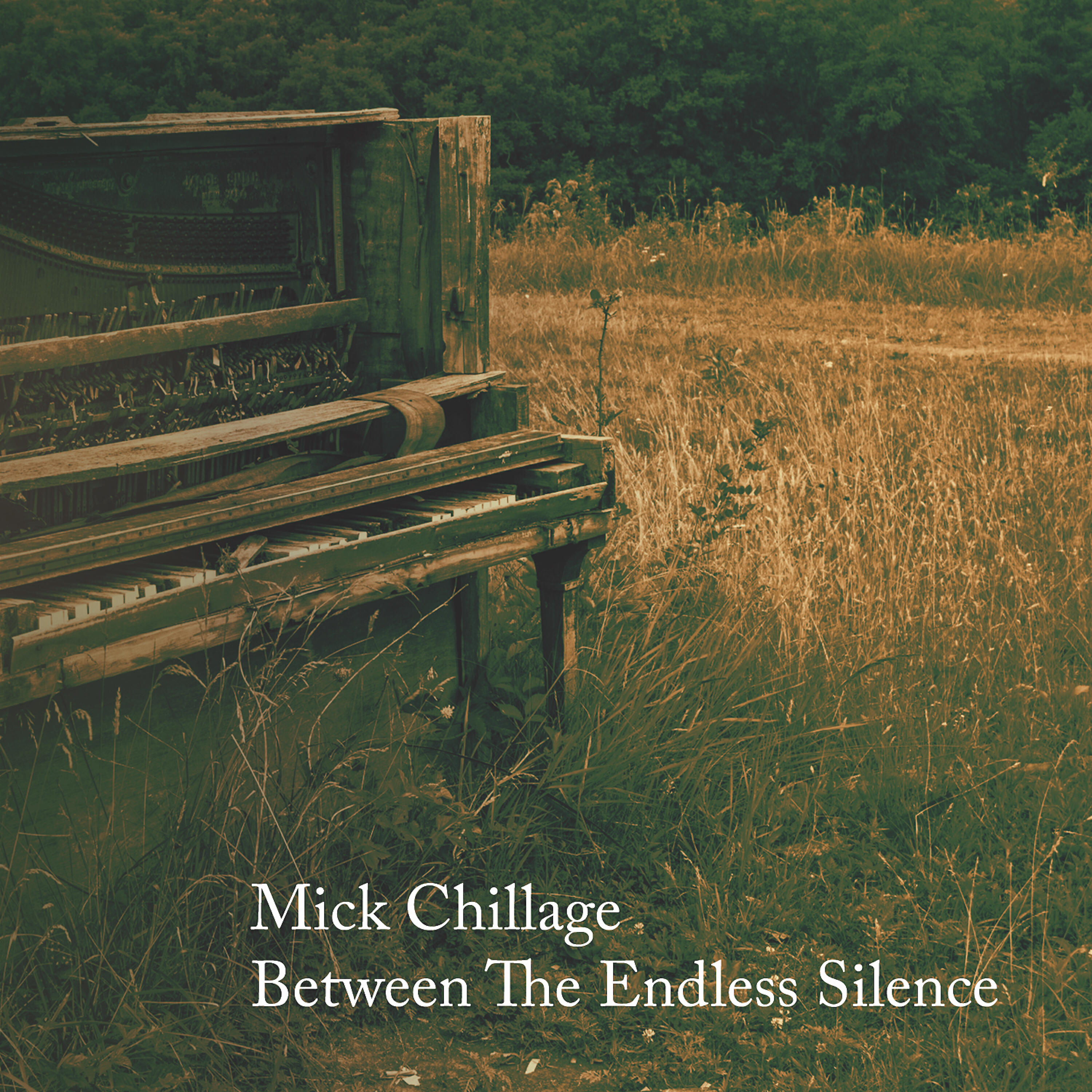 Релиз Between the Endless Silence