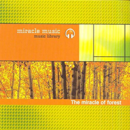 Релиз The Miracle of Forest