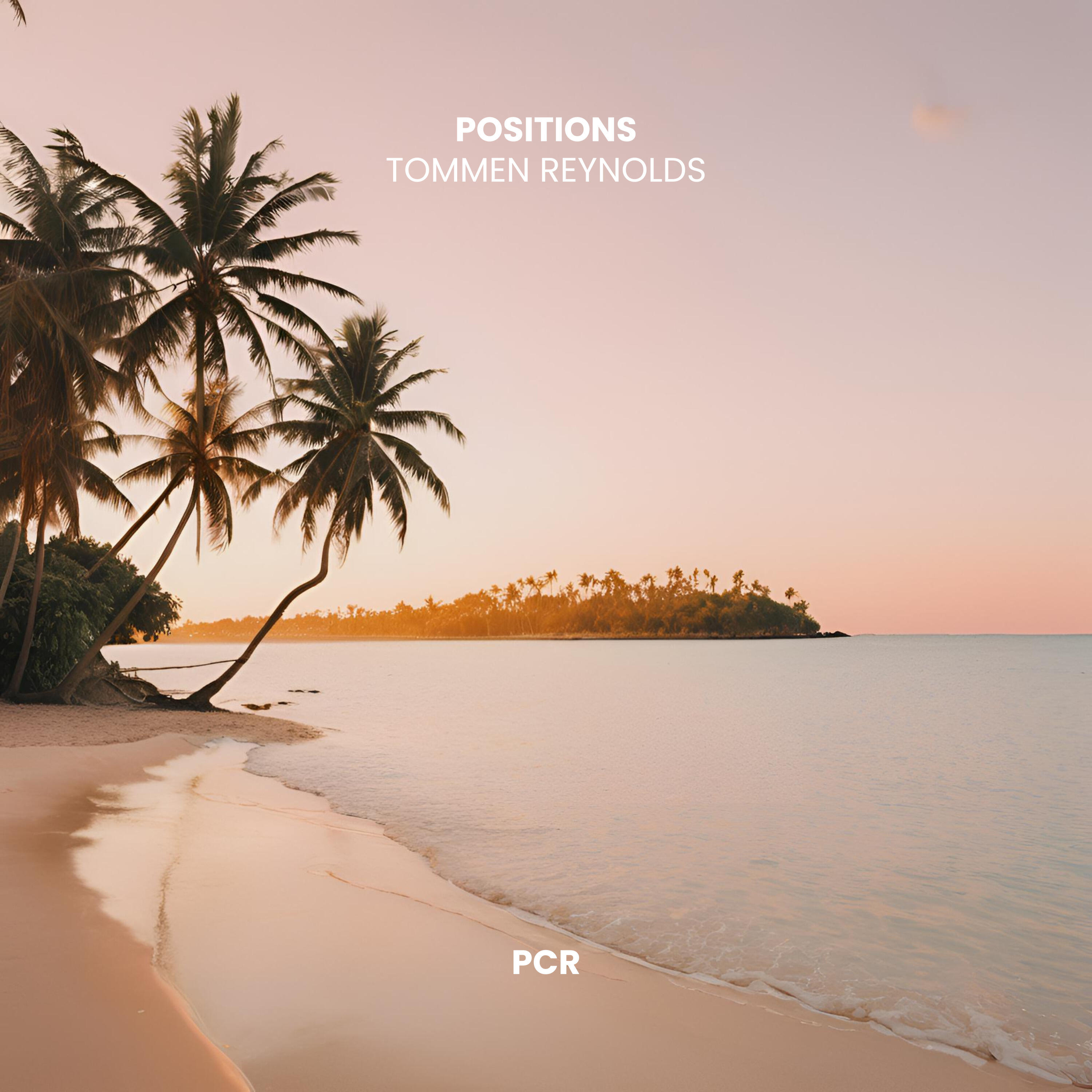 Релиз Positions