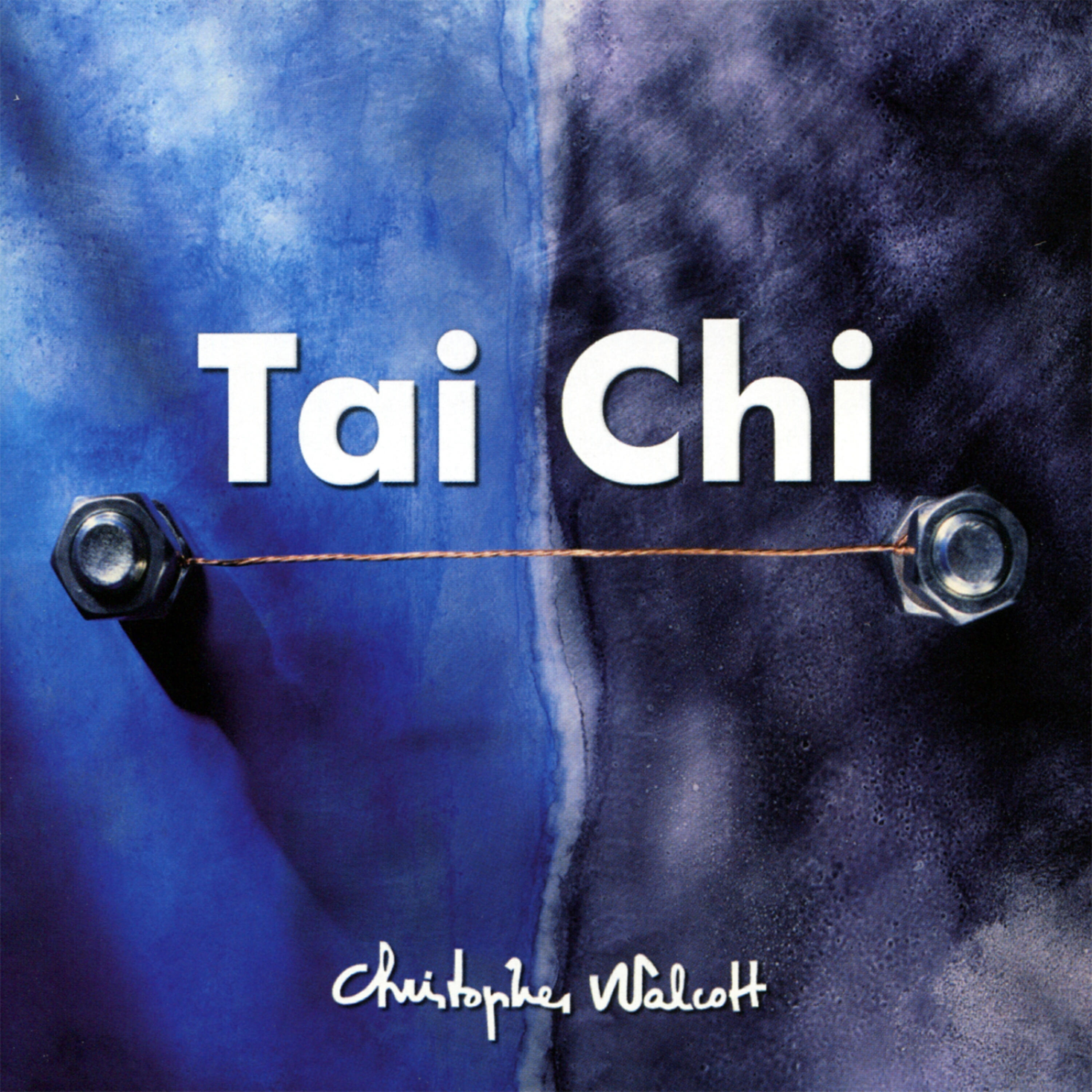 Релиз Tai Chi