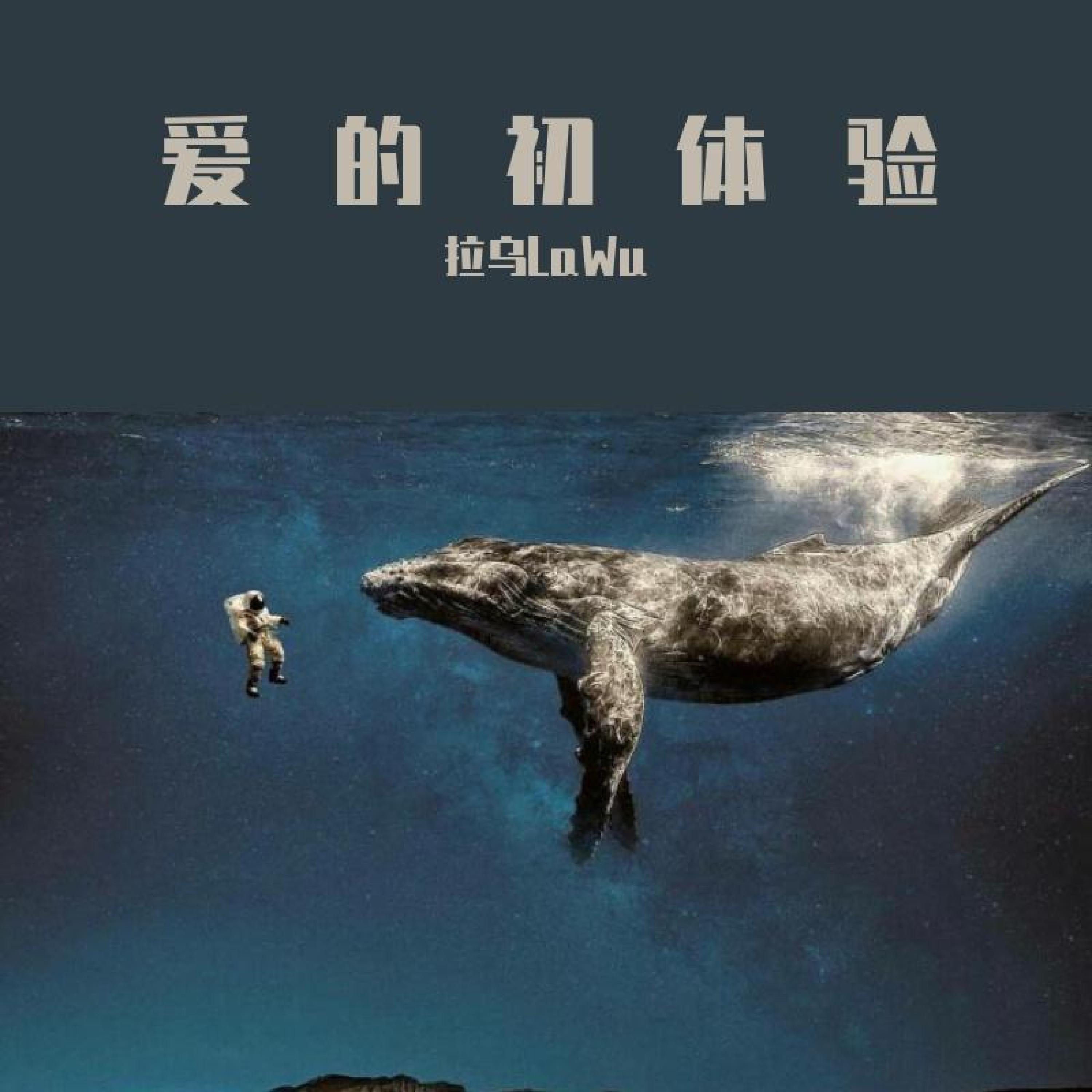 Релиз Lawu