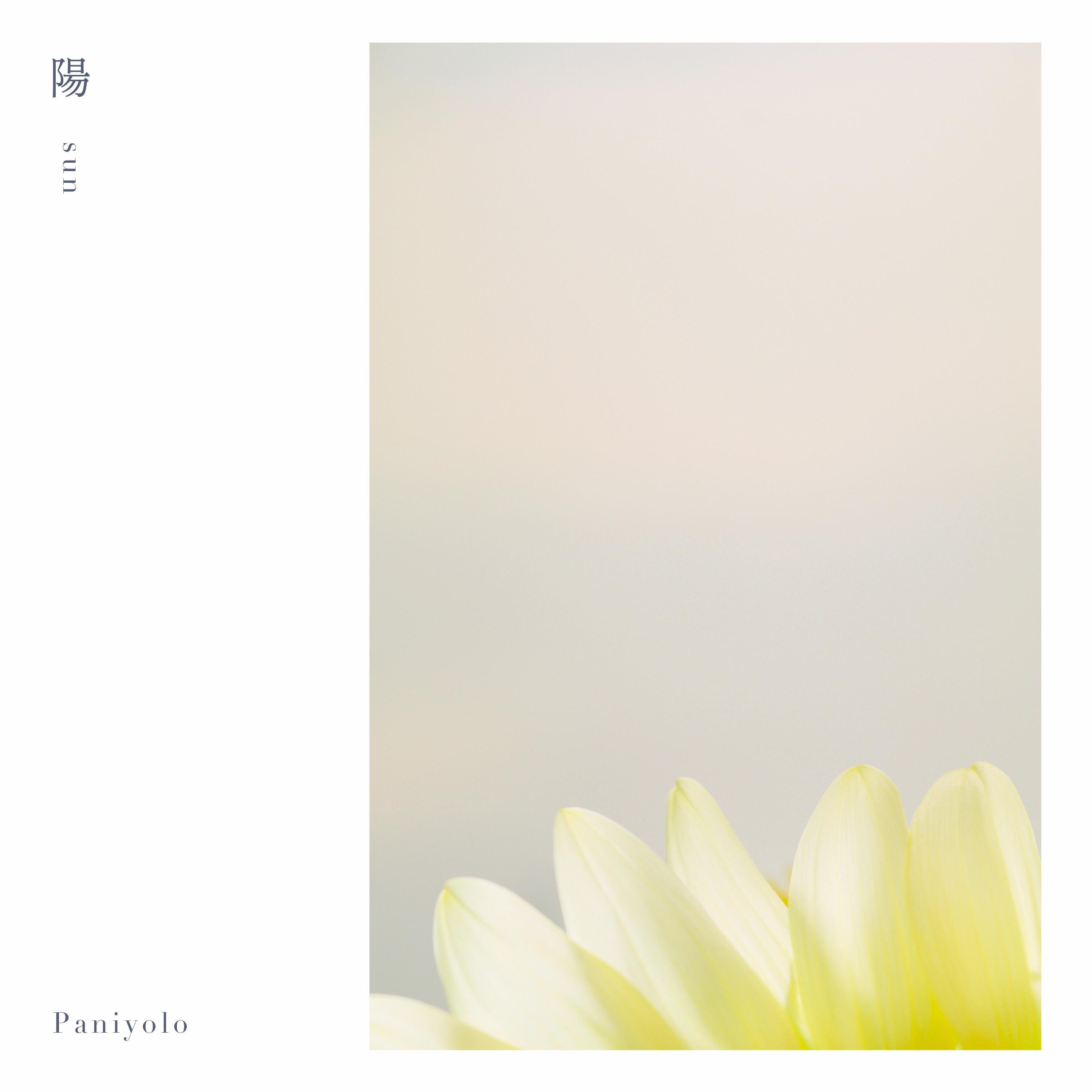 Релиз Sun