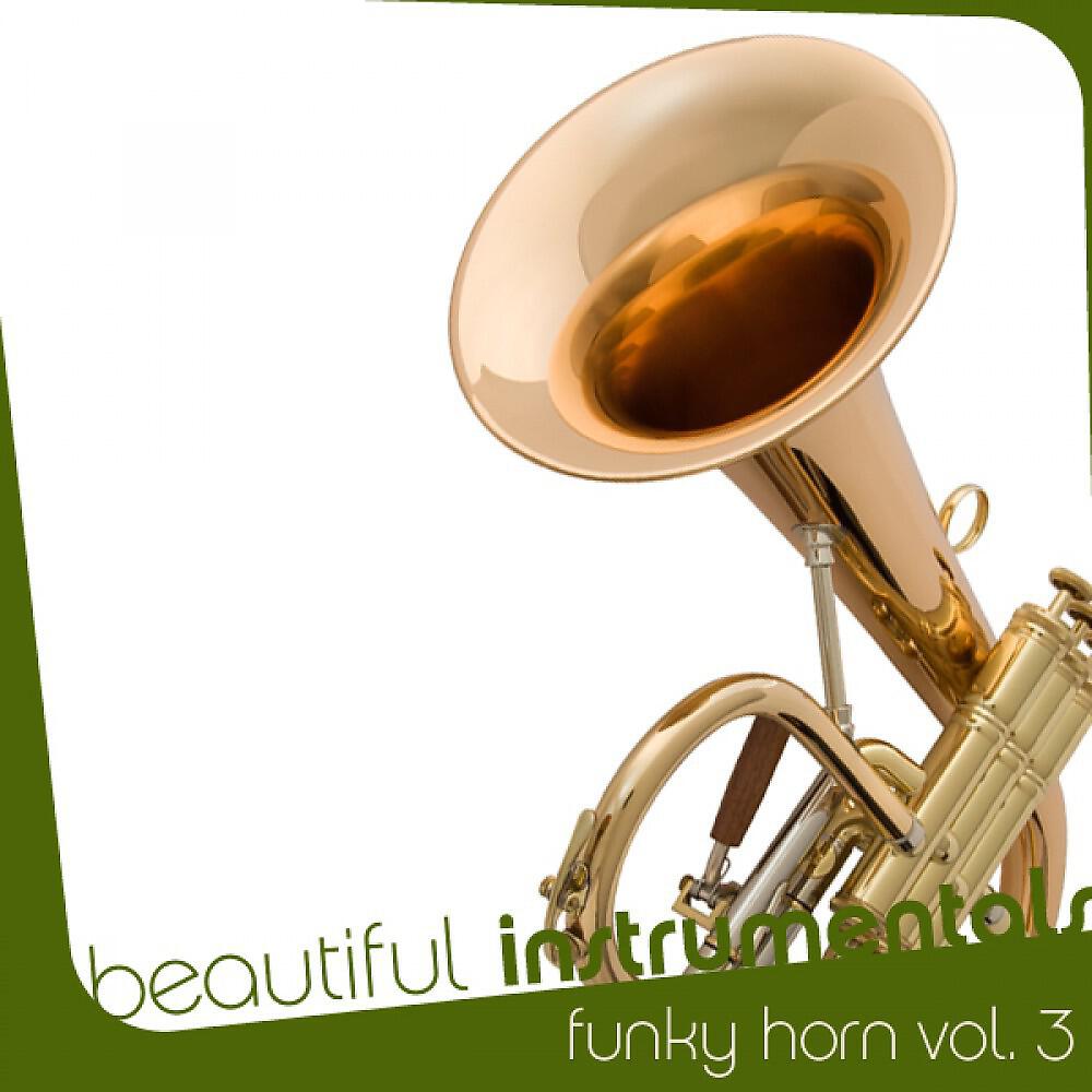 Релиз Beautiful Instrumentals: Funky Horn Vol. 3