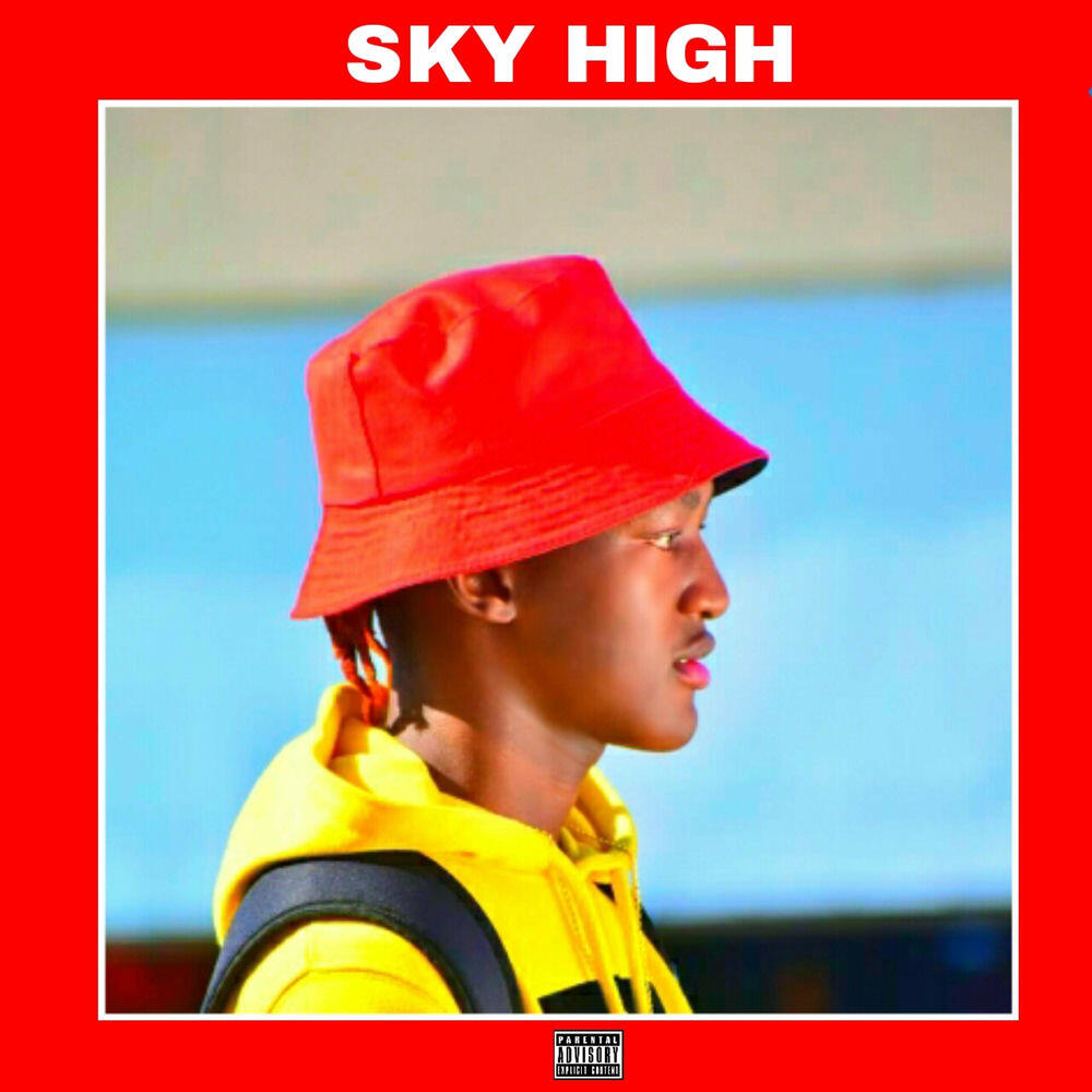 Релиз Sky High