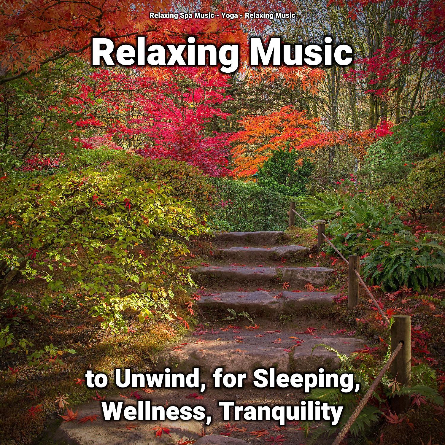 Релиз Relaxing Music to Unwind, for Sleeping, Wellness, Tranquility