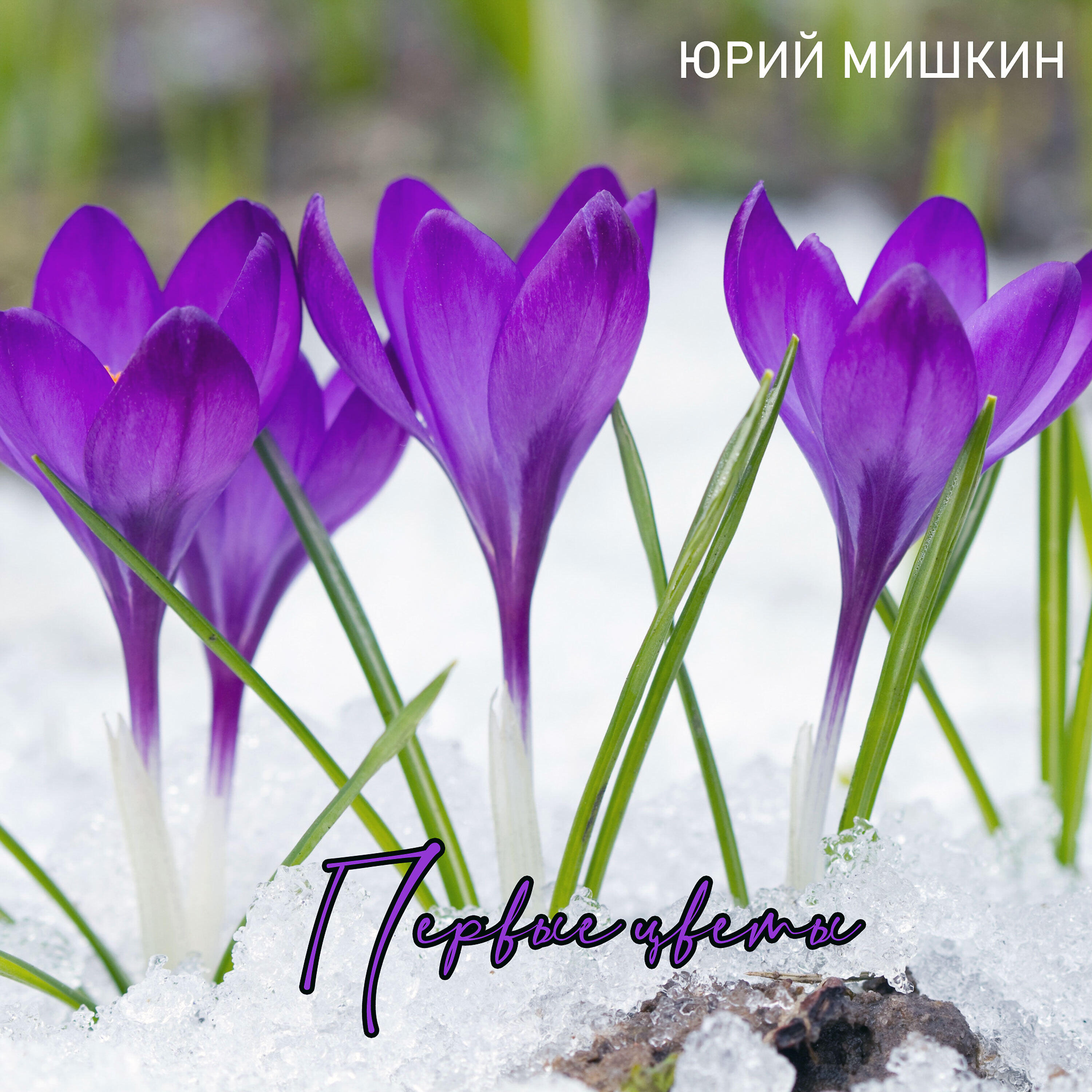 Релиз Первые цветы