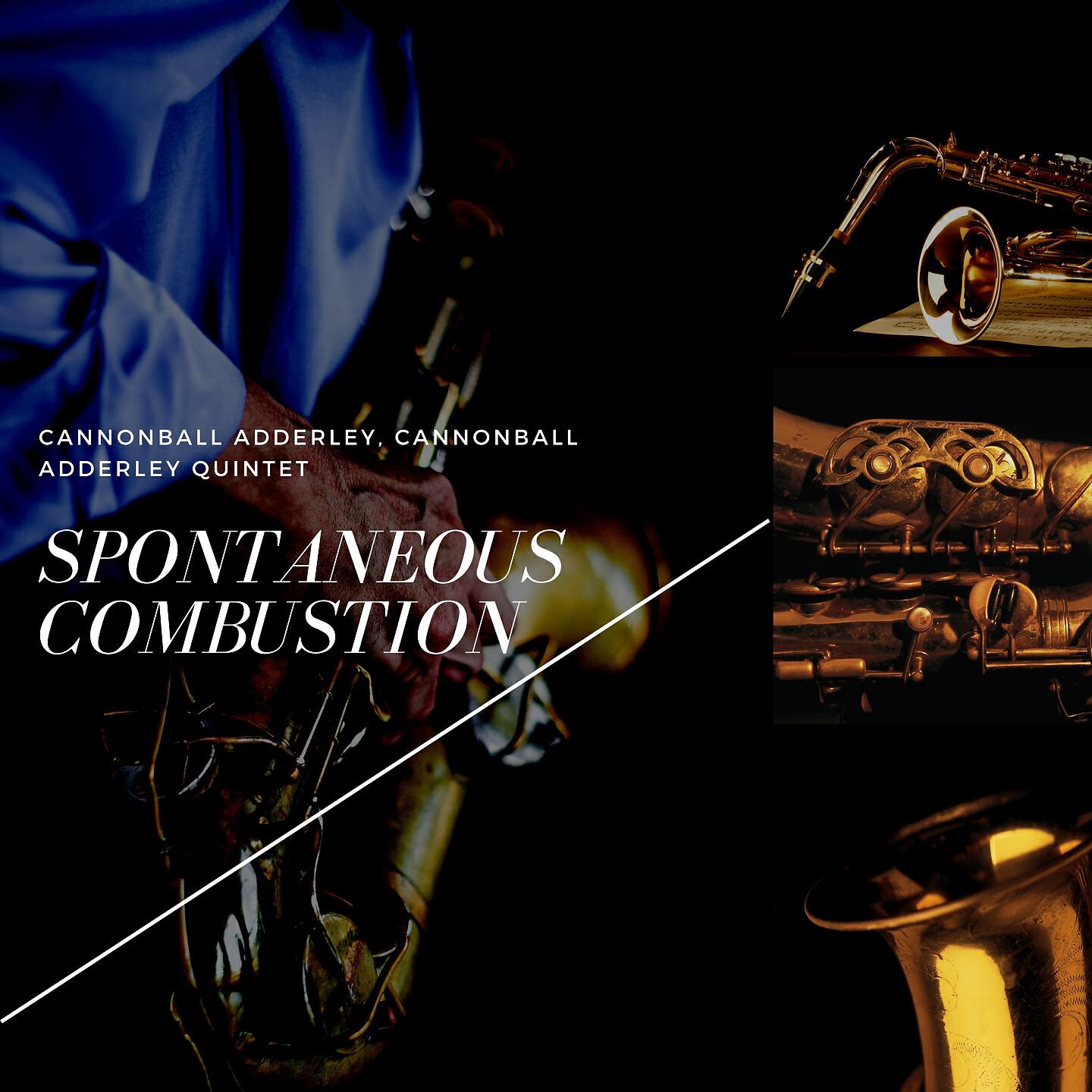 Релиз Spontaneous Combustion