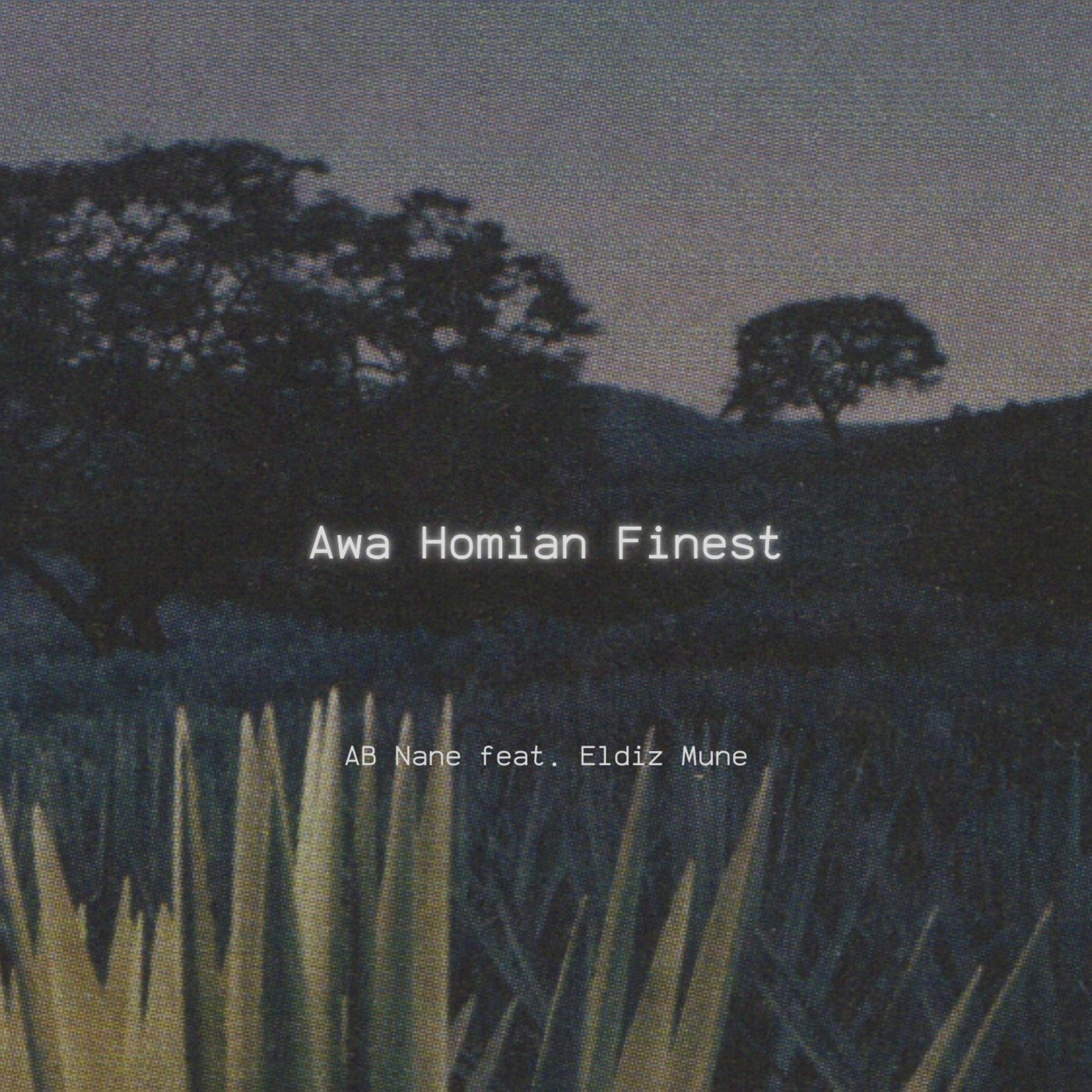 Релиз Awa Homian Finest