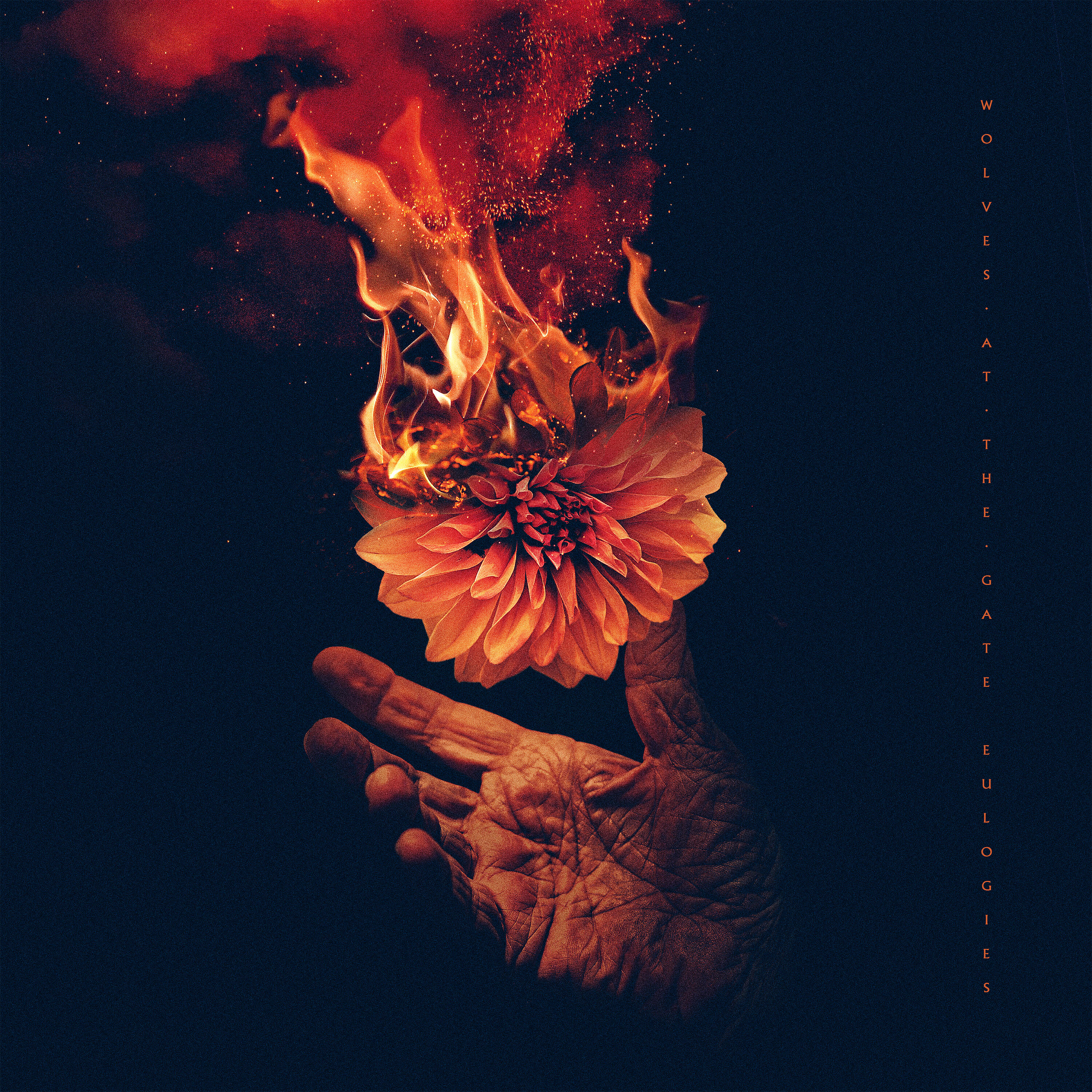 Релиз Lights & Fire