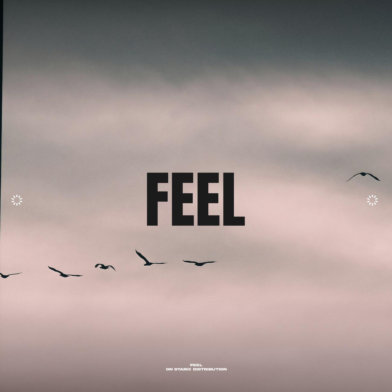 Релиз Feel