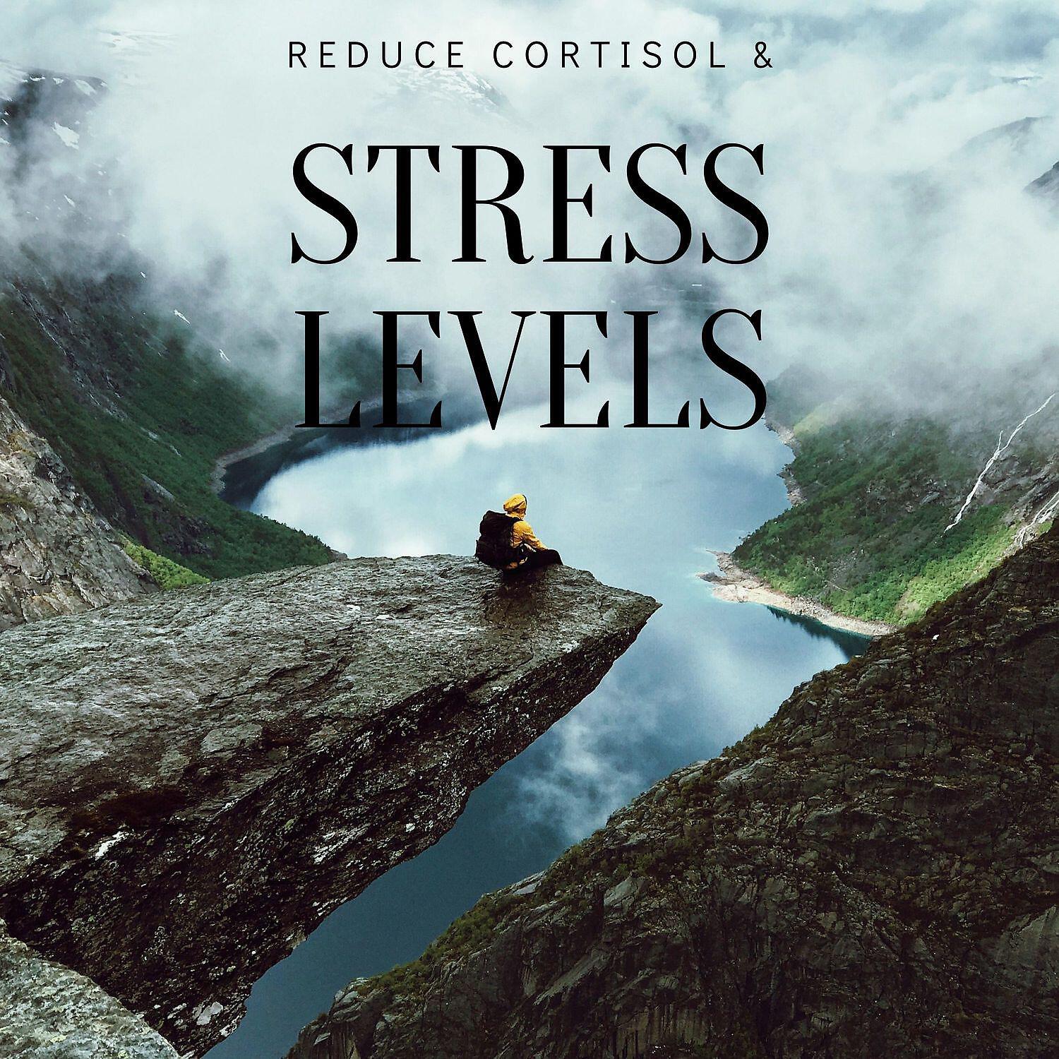 Релиз Reduce Cortisol & Stress Levels: Brings Positive Transformation, Solfeggio Sleep Music