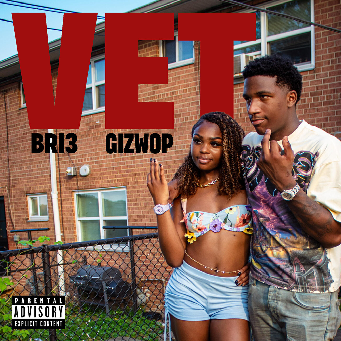 Релиз VET (feat. Gizwop)