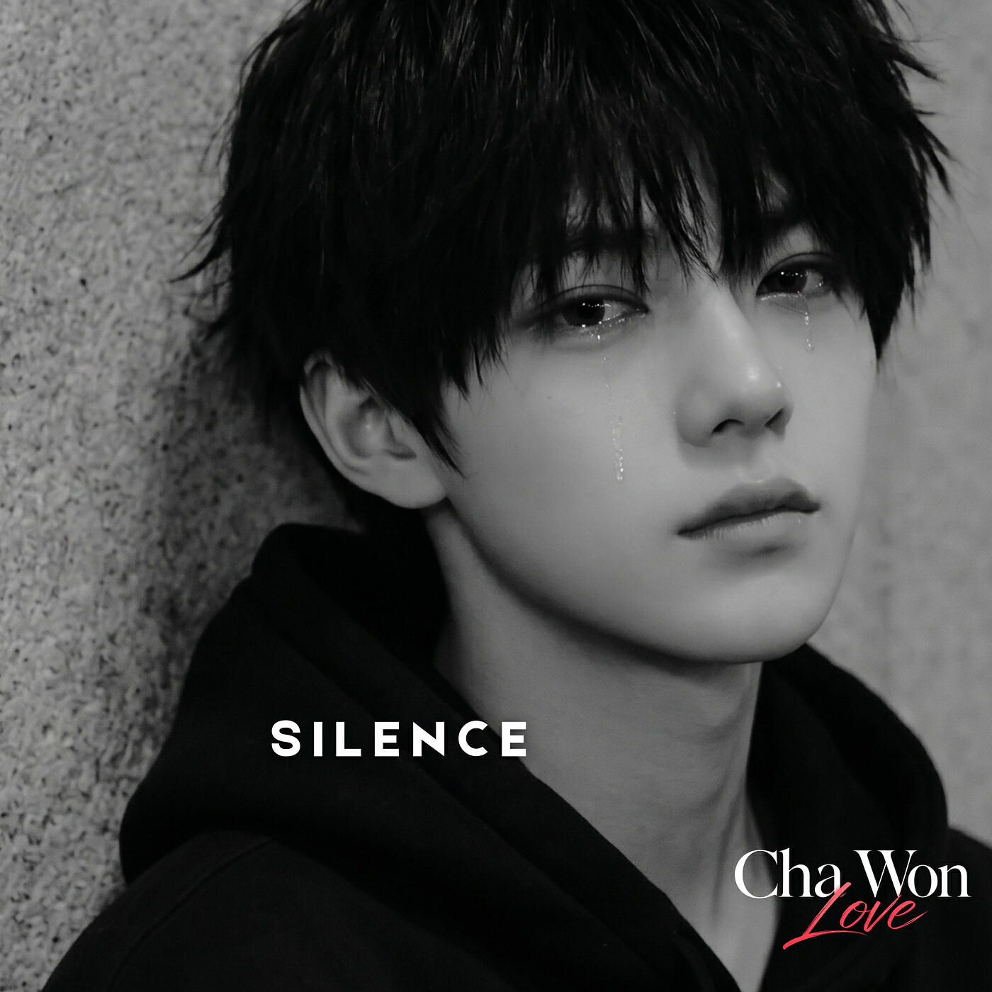 Cha Won Love