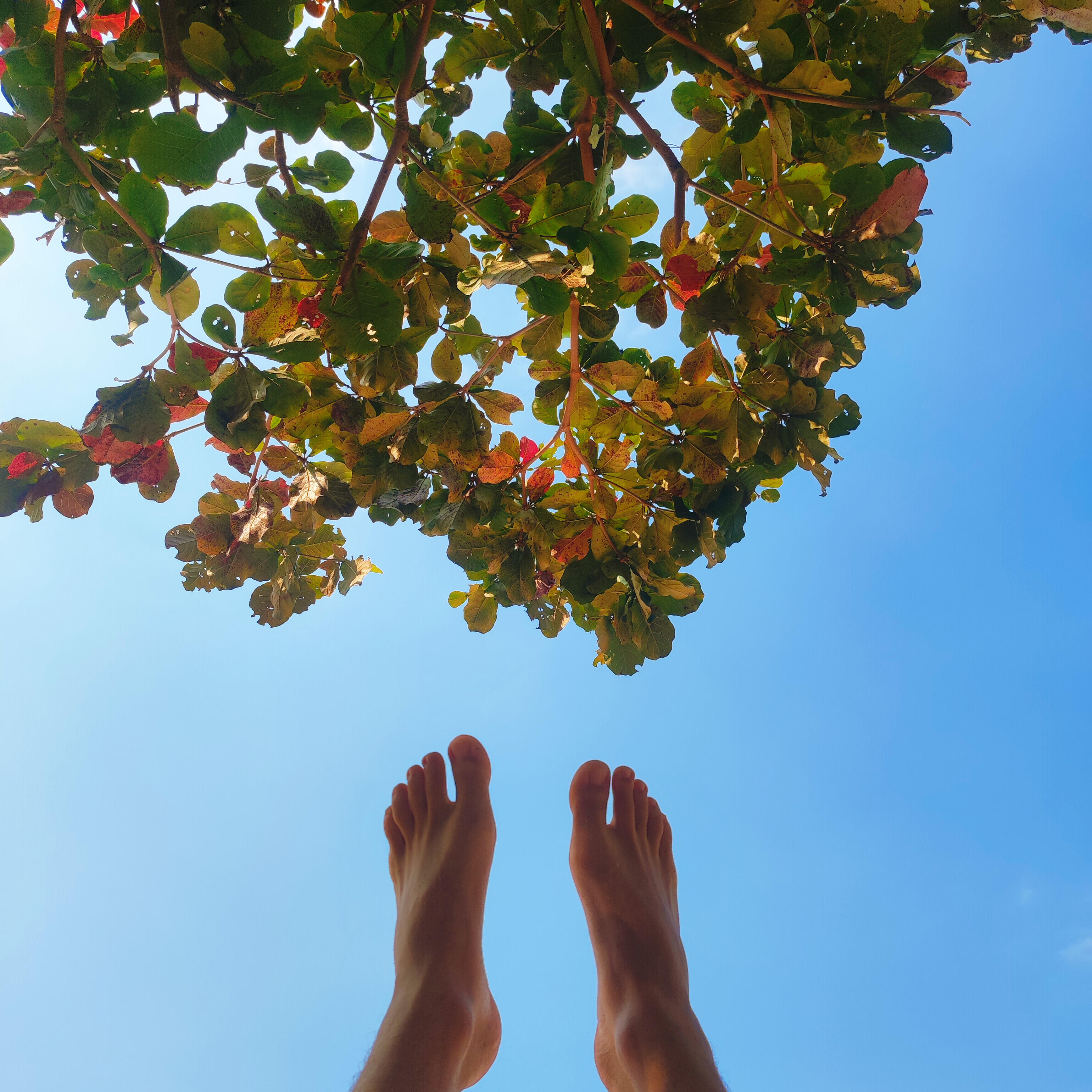 Релиз A Piece of Summer