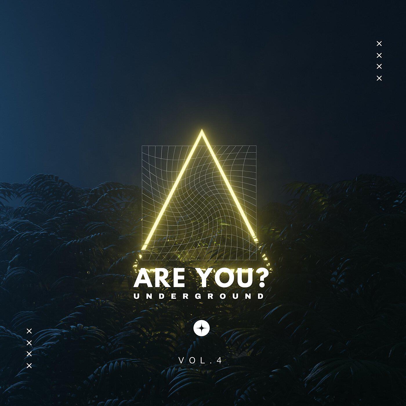 Релиз Are You Underground ?, Vol. 4