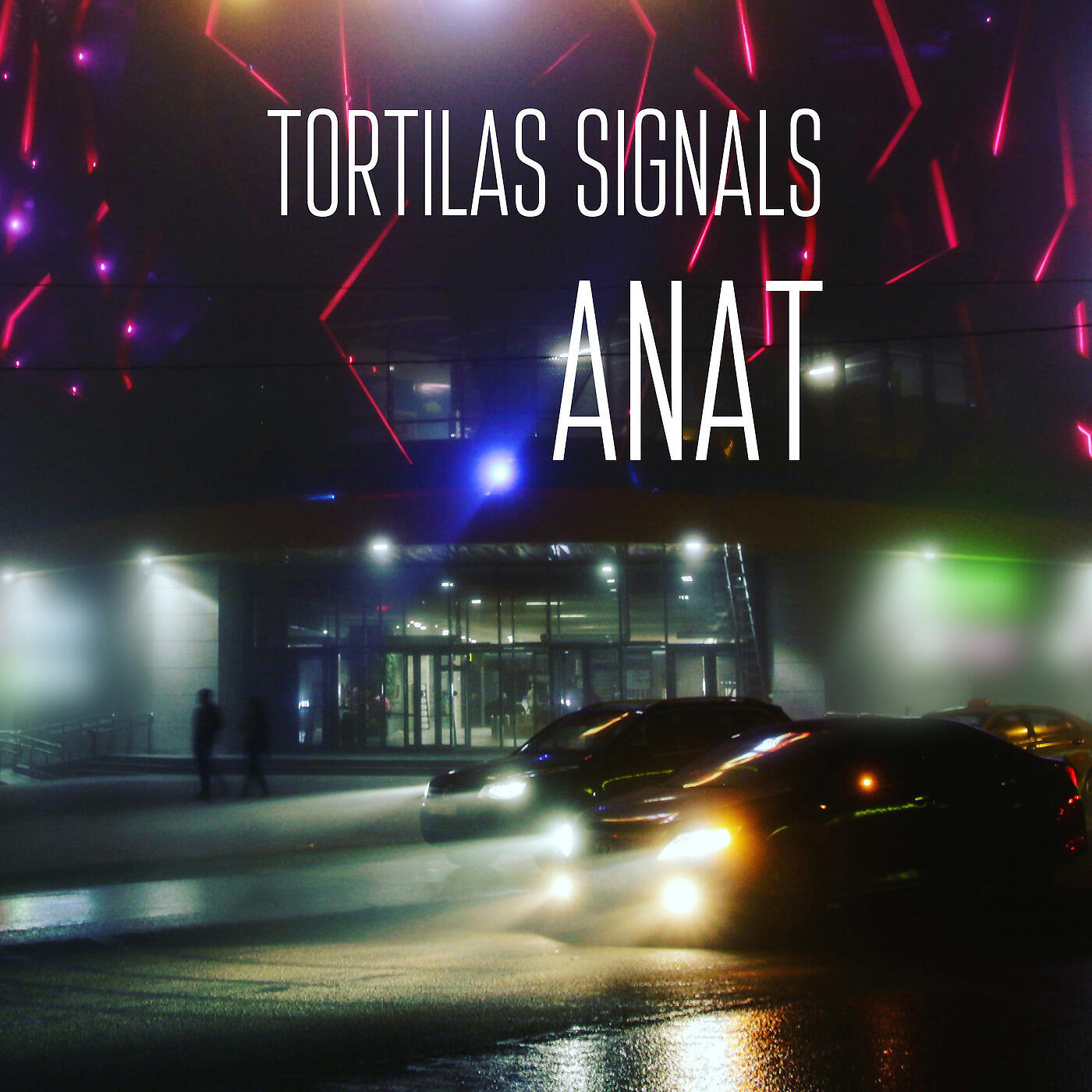 Релиз Anat
