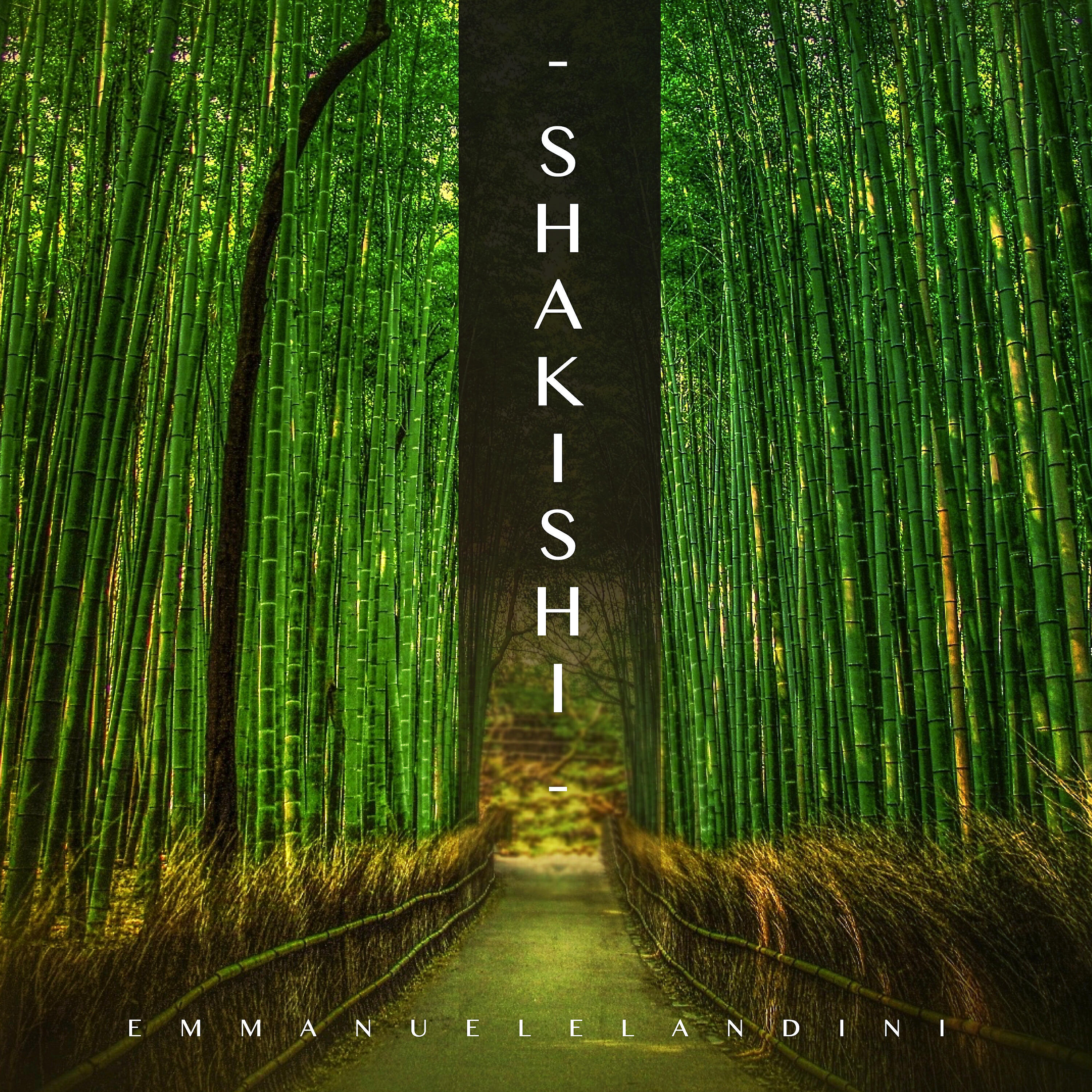 Релиз Shakishi (Remastered)