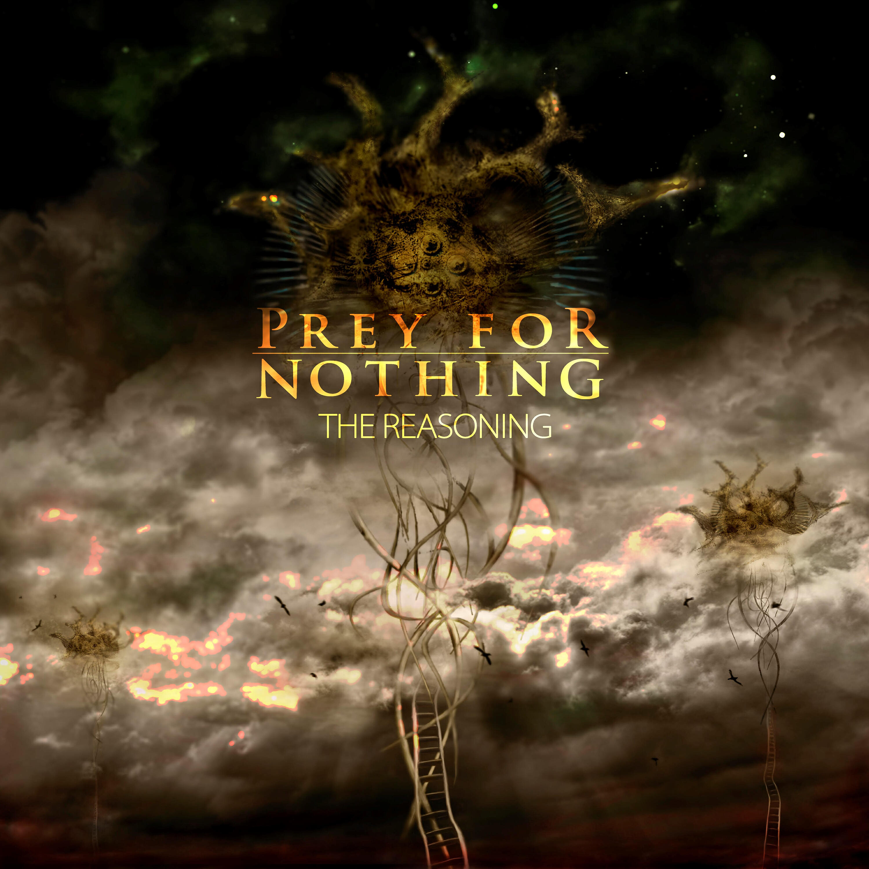 Релиз The Reasoning