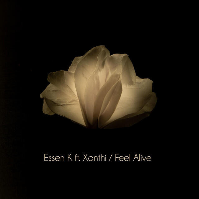 Релиз Feel Alive