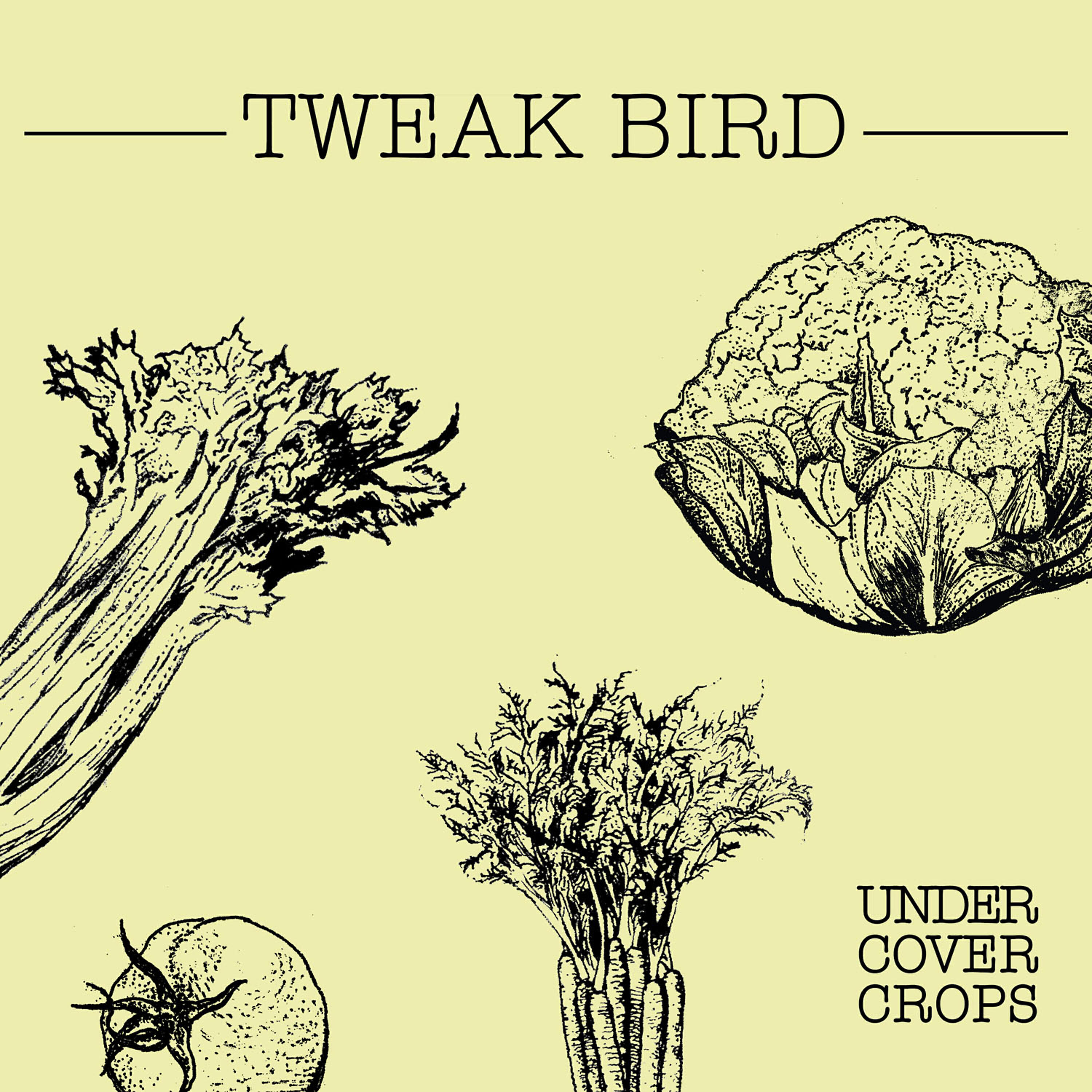 Релиз Undercover Crops