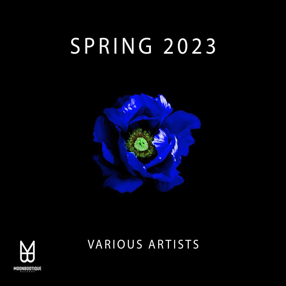 Релиз Spring '23