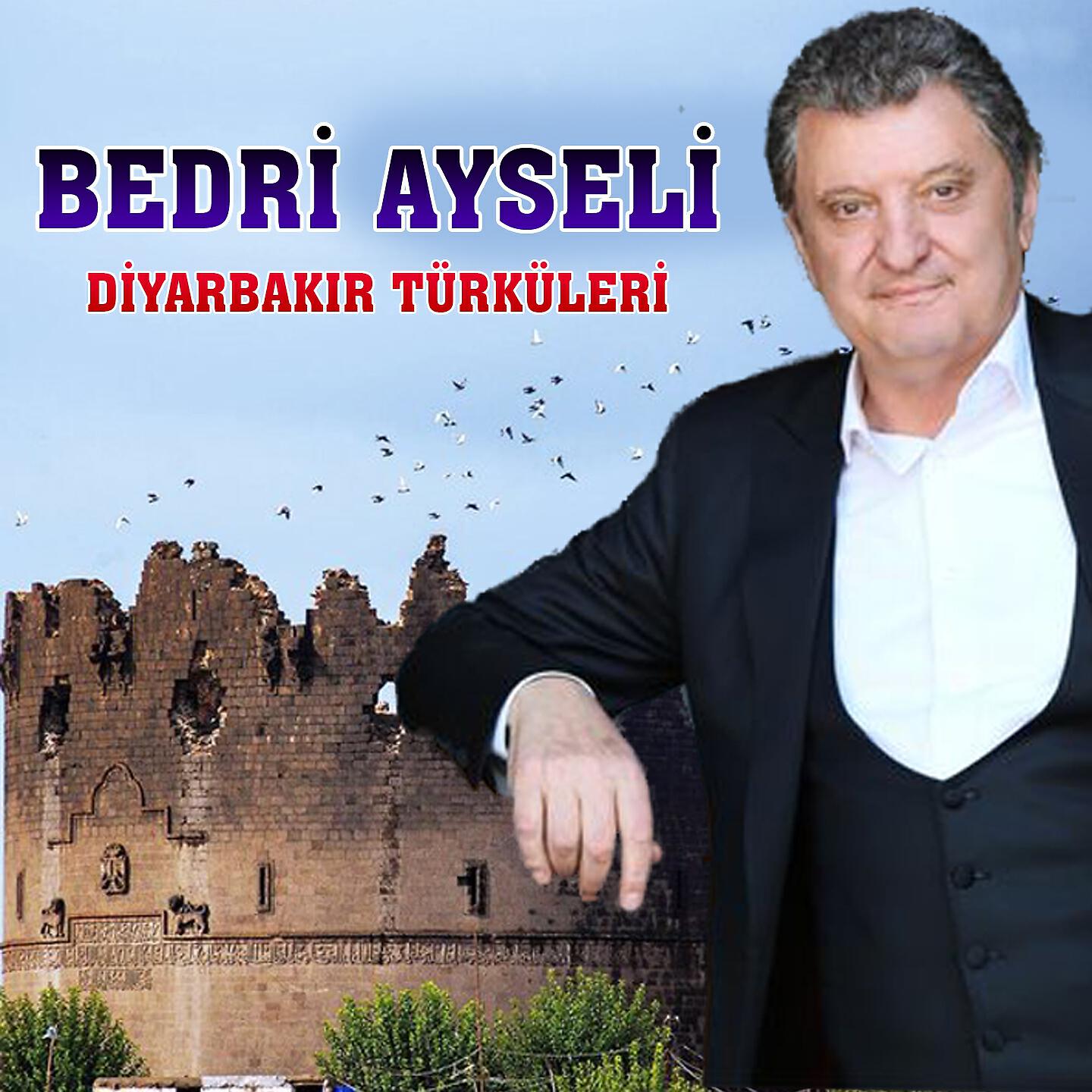 Релиз Diyarbakır Türküleri