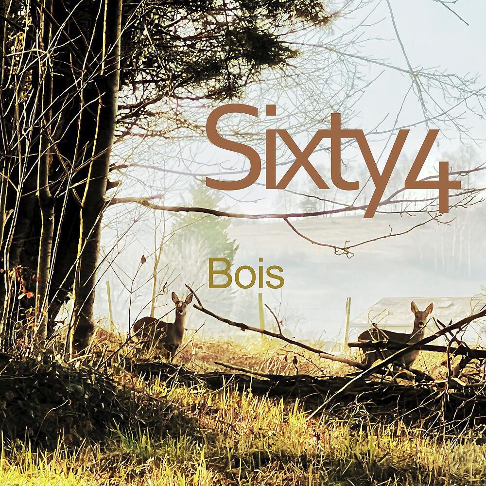 Релиз Bois