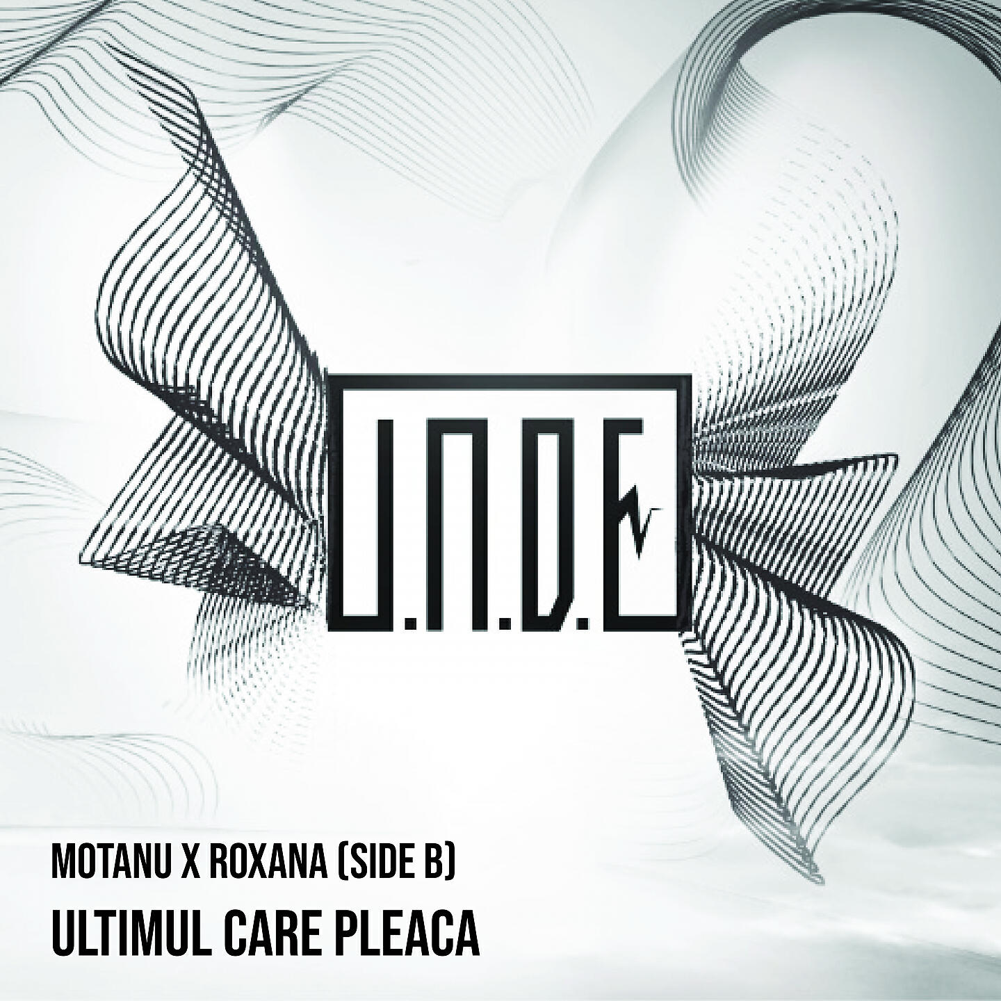 UNDE, Motanu, Roxana - Rulez