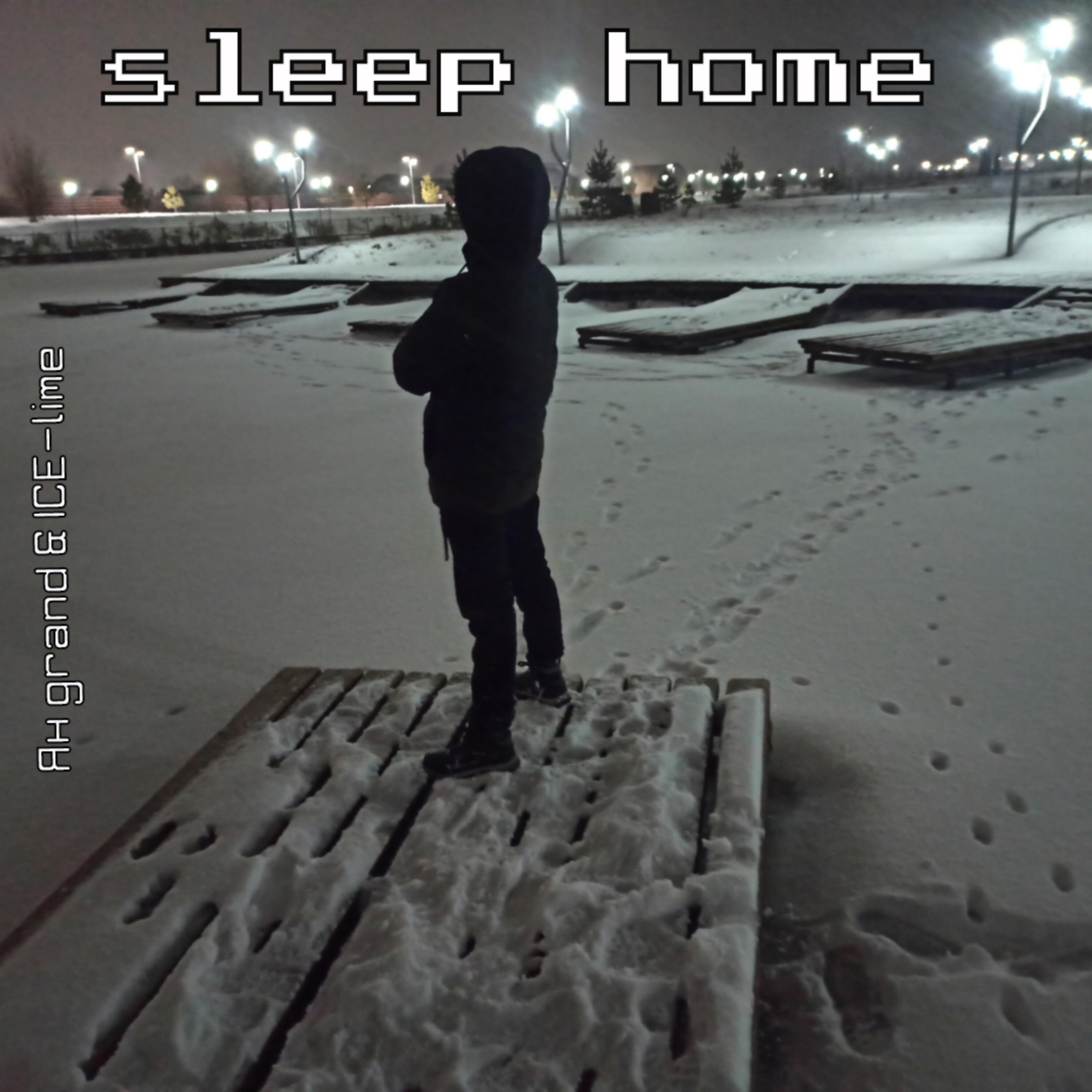 Постер альбома Sleep Home
