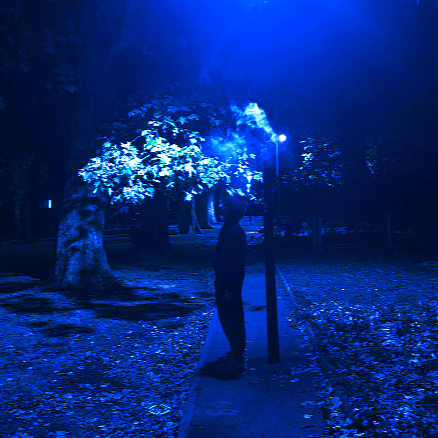 Релиз Spotlight