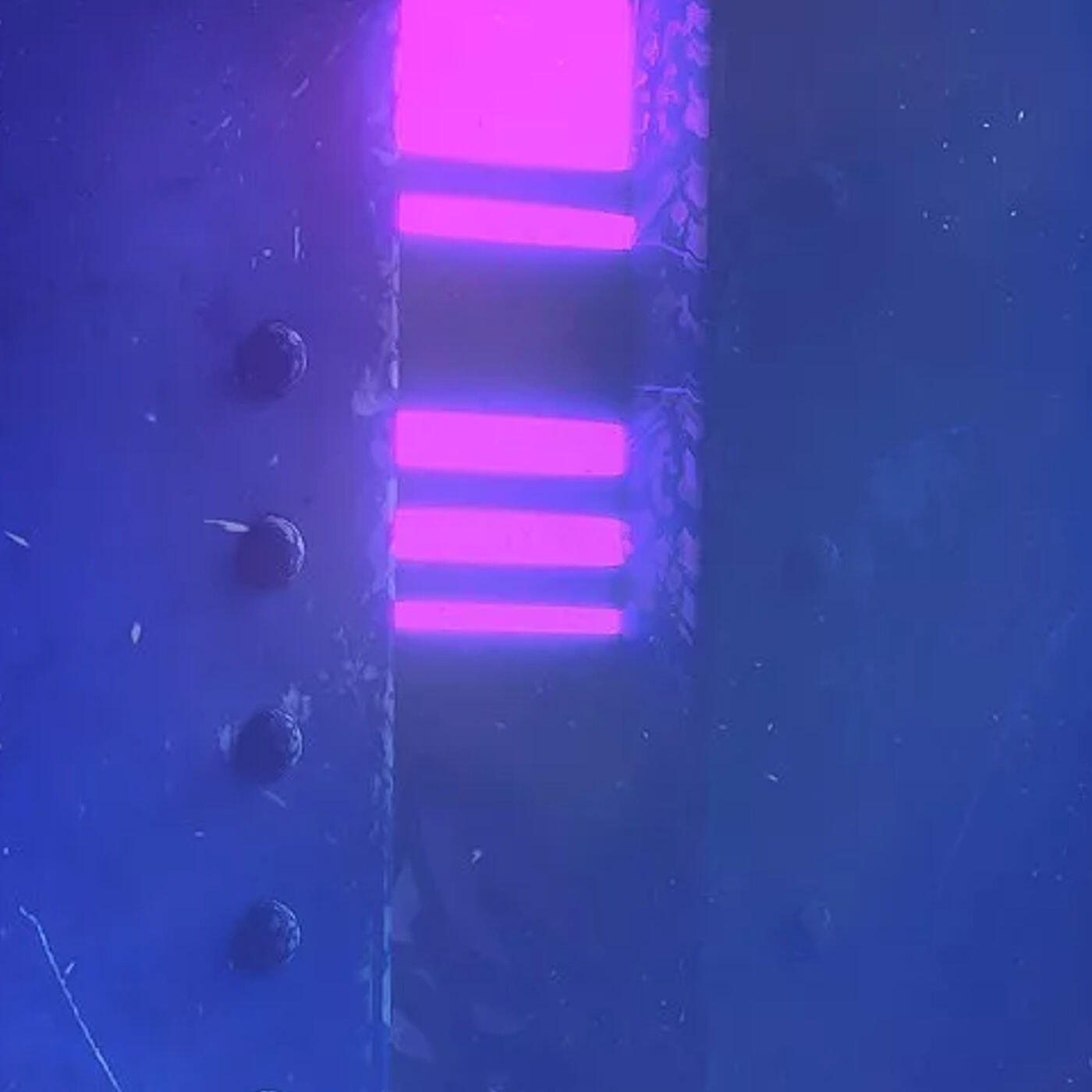 Релиз Prdgy reincarnation