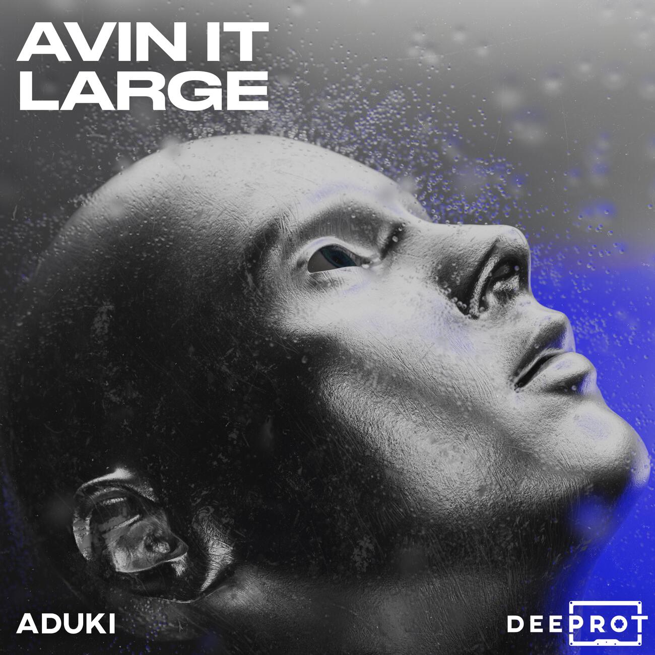 Релиз Avin It Large (Dedicated To)