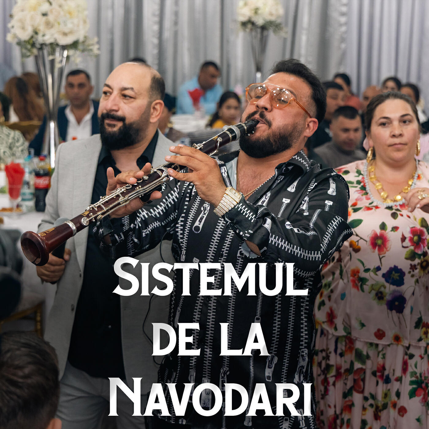 Релиз Sistemul Dela Navodari