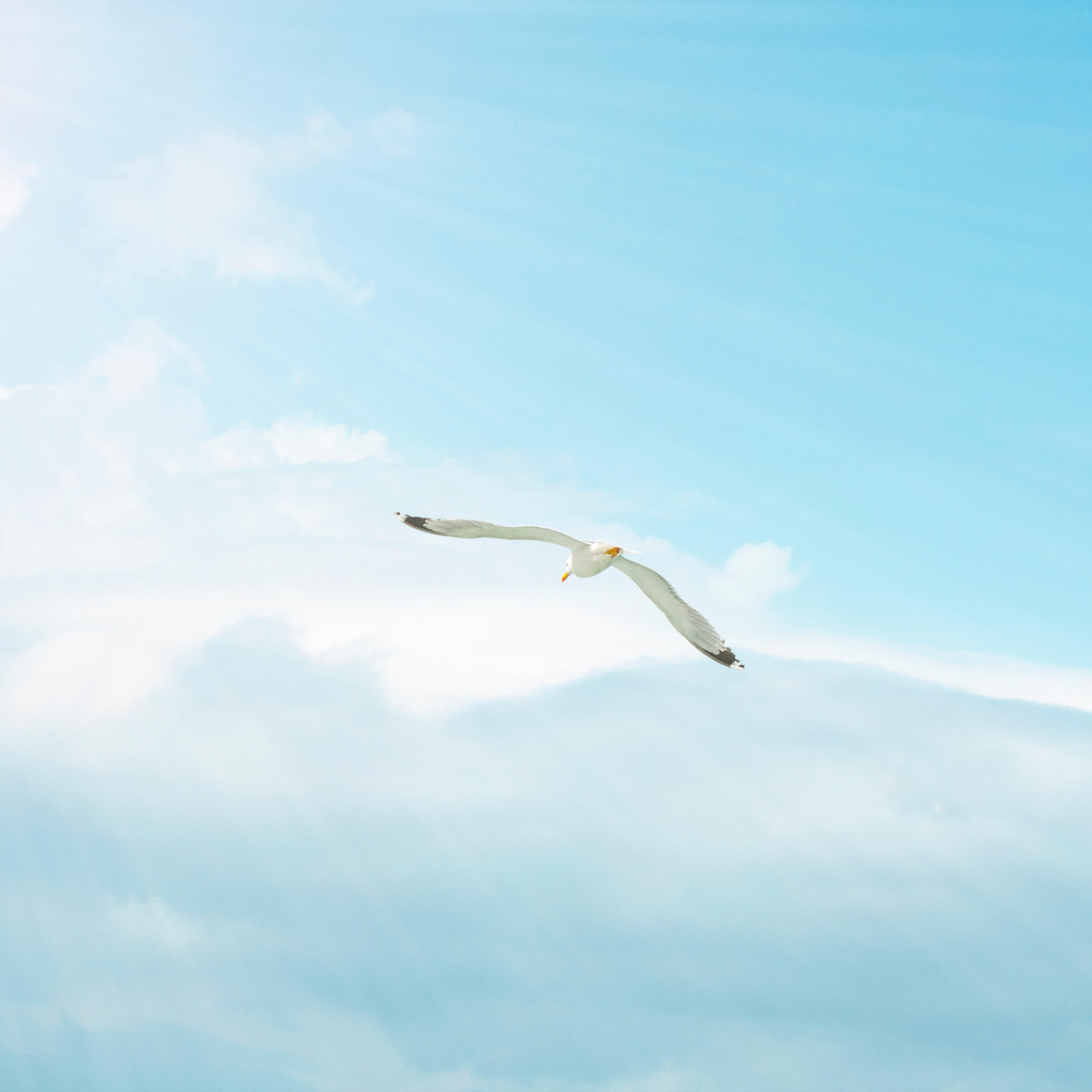 Релиз Whispers of the sky