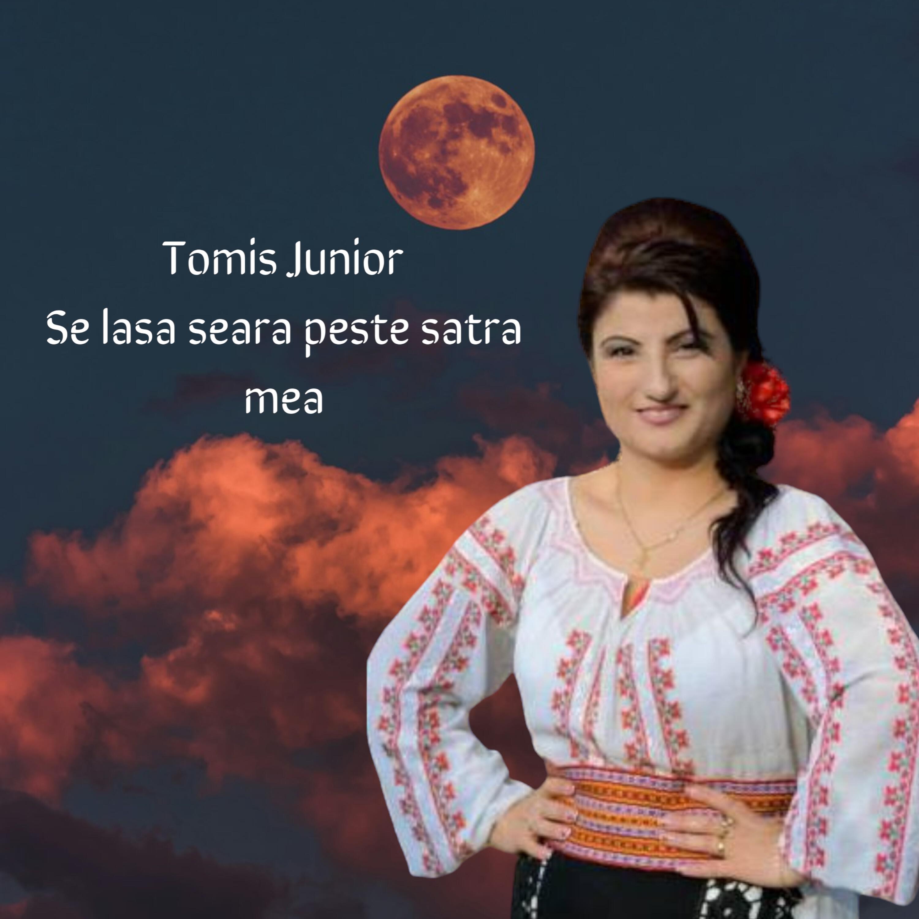 Релиз Se lasa seara peste satra mea