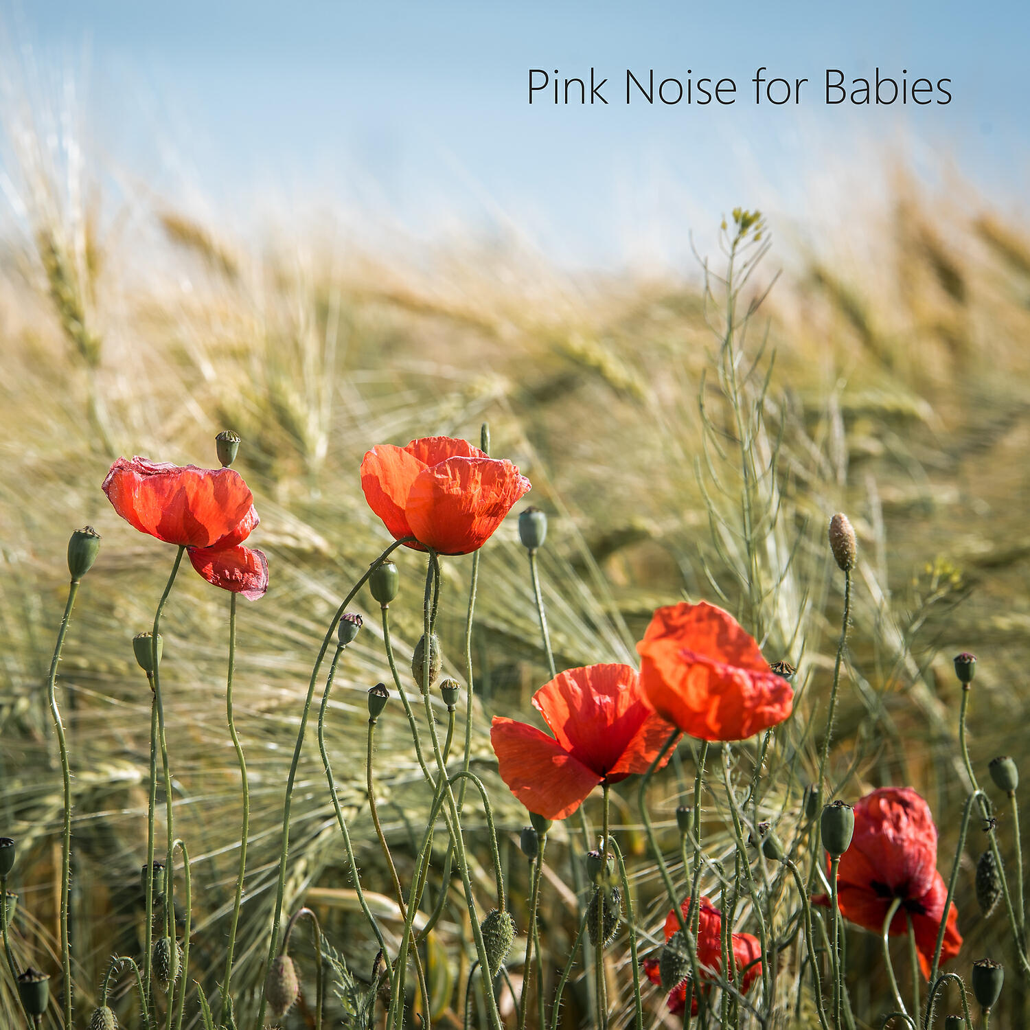 Релиз Bien Dormir -Static Fan Noises Loopable