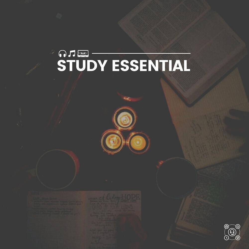Релиз Study Essential